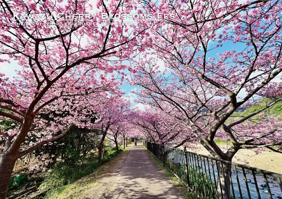 【貸切】河津桜まつり会場目の前！街中でアクセス抜群！憧れのログハウスでBBQ♪温泉のお風呂付き