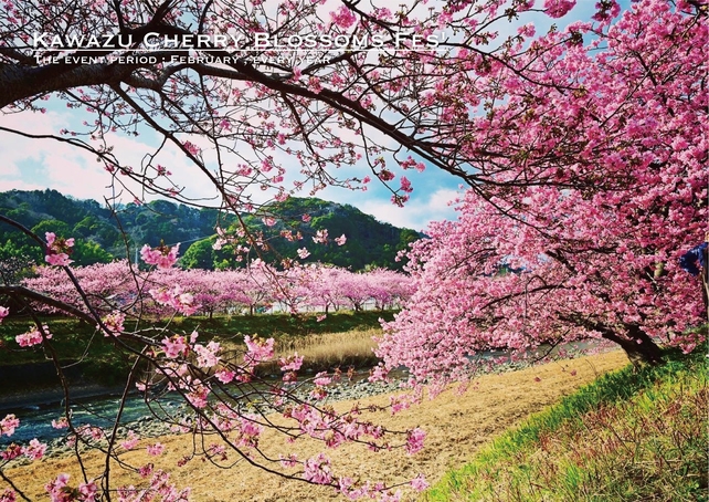 【貸切】河津桜まつり会場目の前！街中でアクセス抜群！憧れのログハウスでBBQ♪温泉のお風呂付き