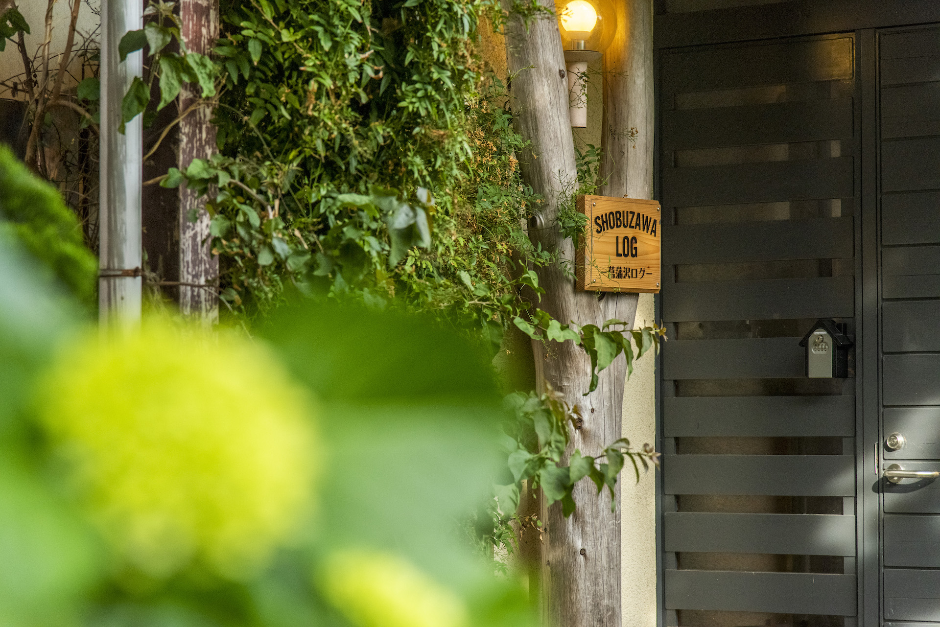 菖蒲沢ログ　玄関