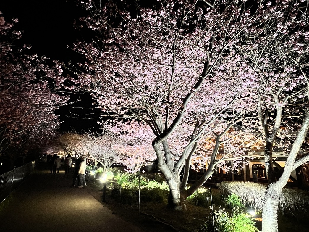  【サウナあり】【サウナイキタイ】プライベートサウナで気のあう仲間と気兼ねなく大満喫！（水着着用）