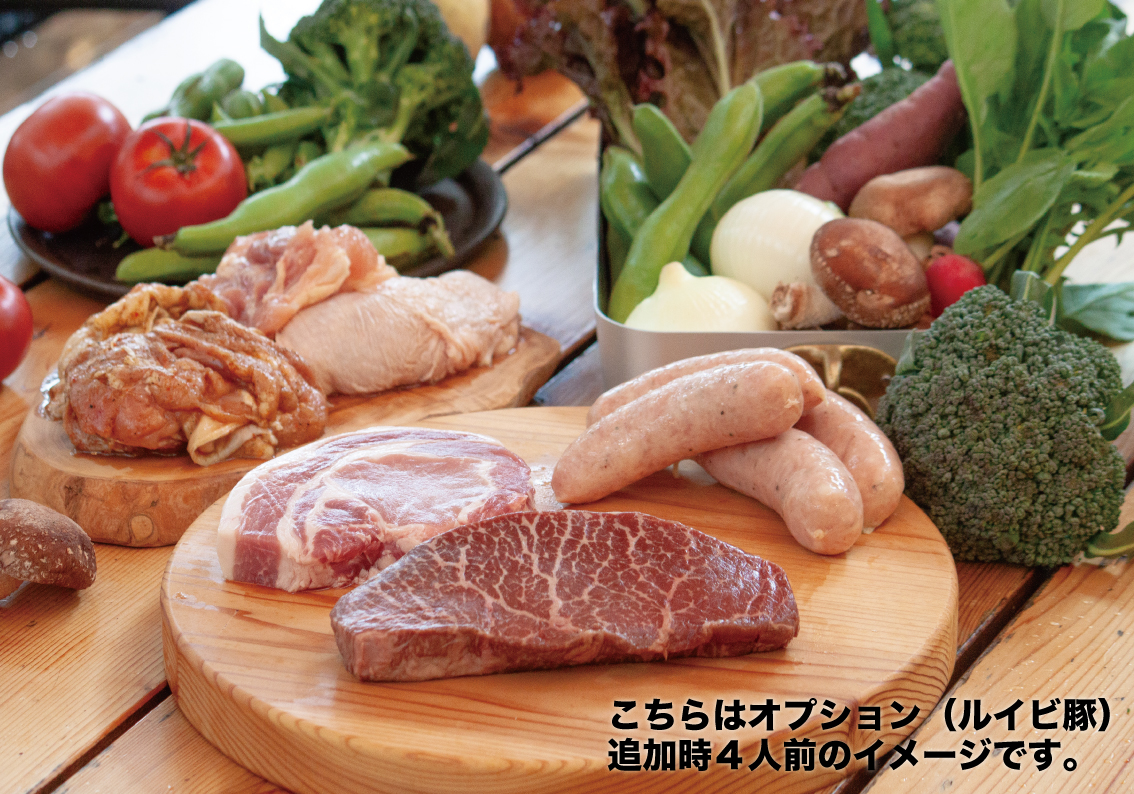 オプション料理01