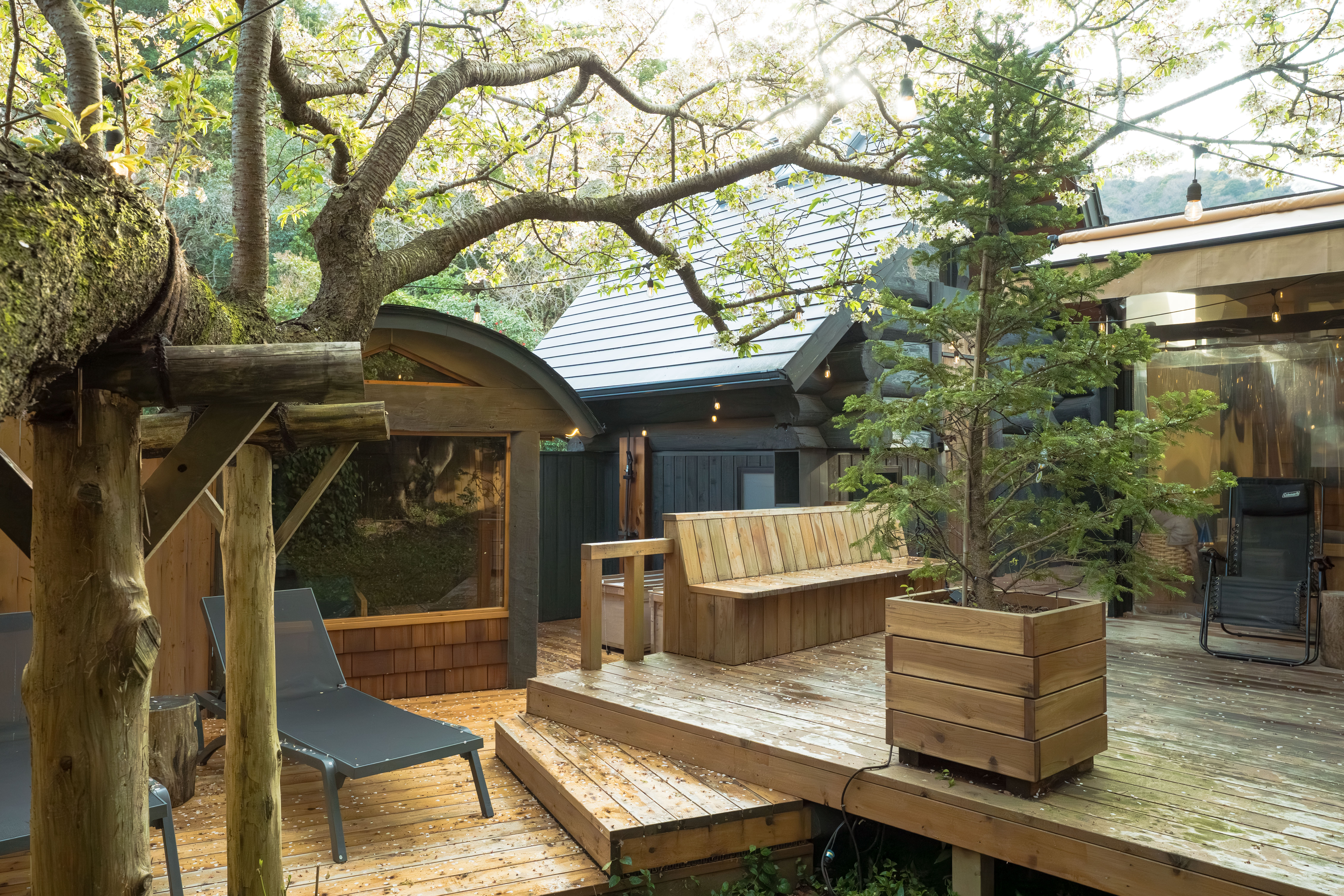 The TRee サウナエリア