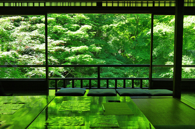 【京都の庭園】瑠璃光院 瑠璃の庭