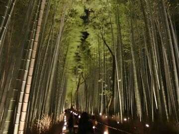 ◆観光◆嵐山・竹林の道