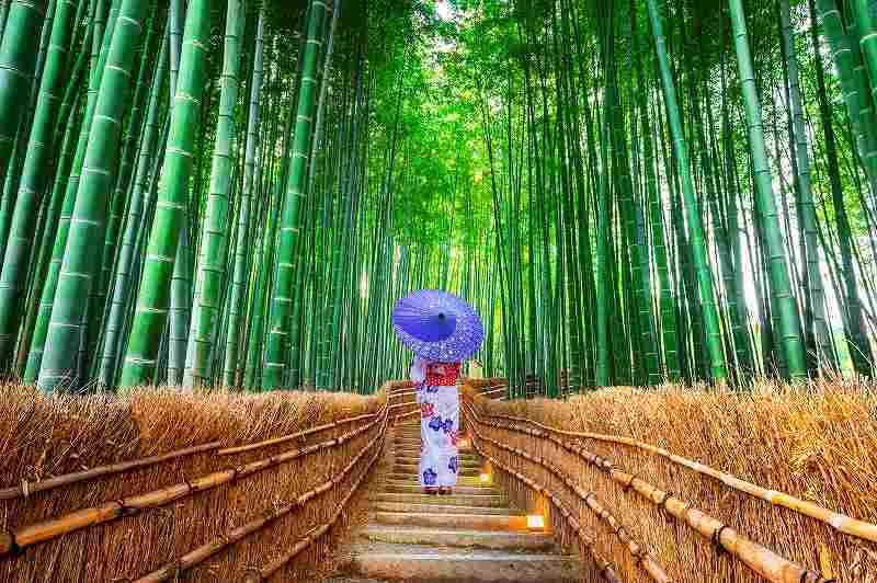 【スタンダードプラン】ゆったり観光するならこの季節♪祇園・岡崎エリアへアクセス良好！