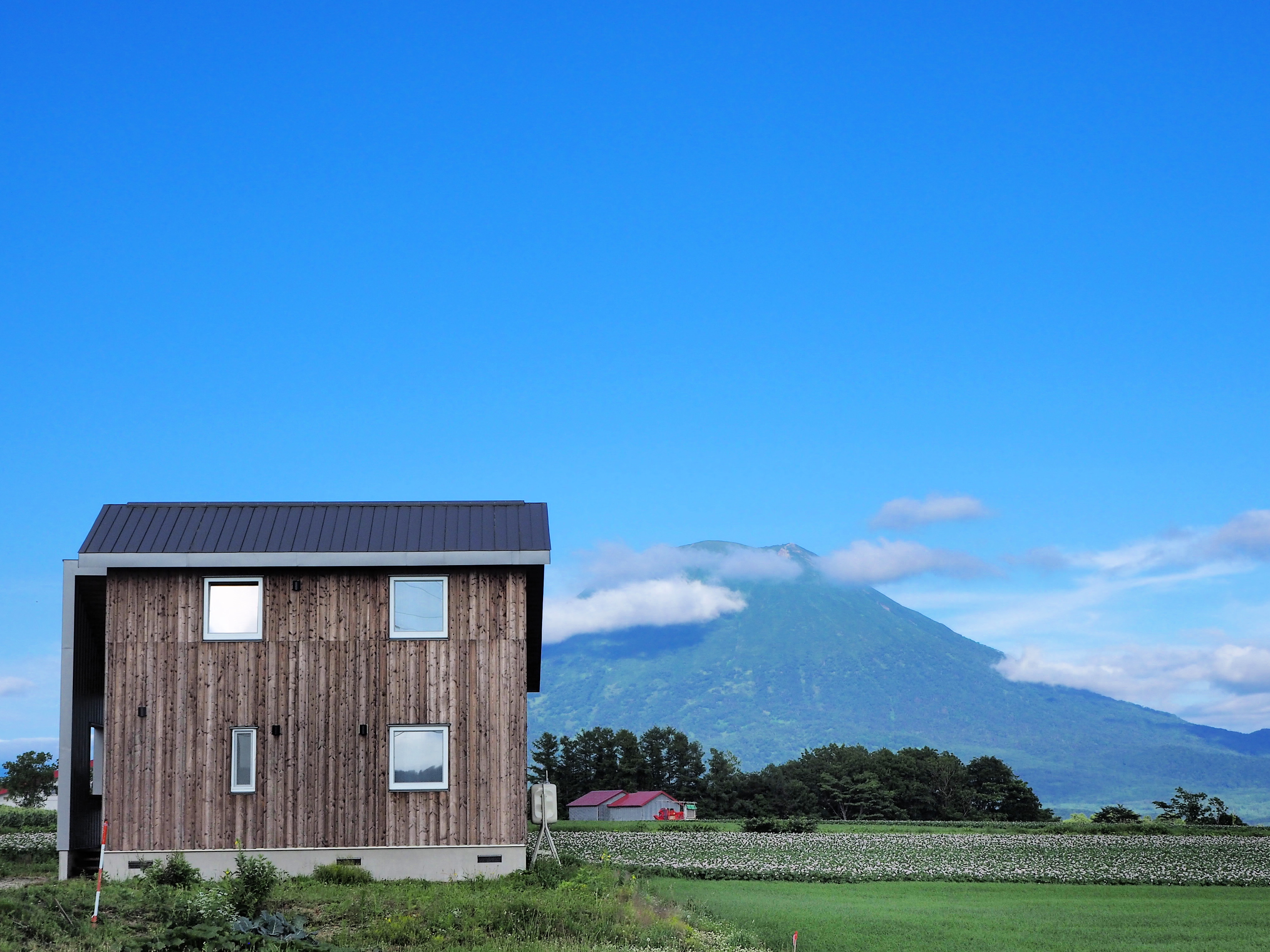 コテージ全景　夏