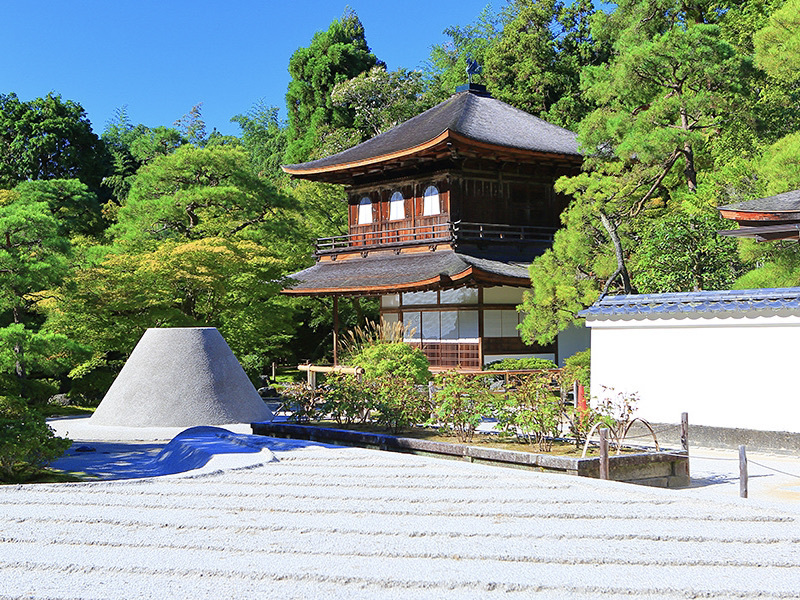 連泊｜酒膳付【嗜み｜TASHINAMI】地酒ペアリング料理に酔いしれる…