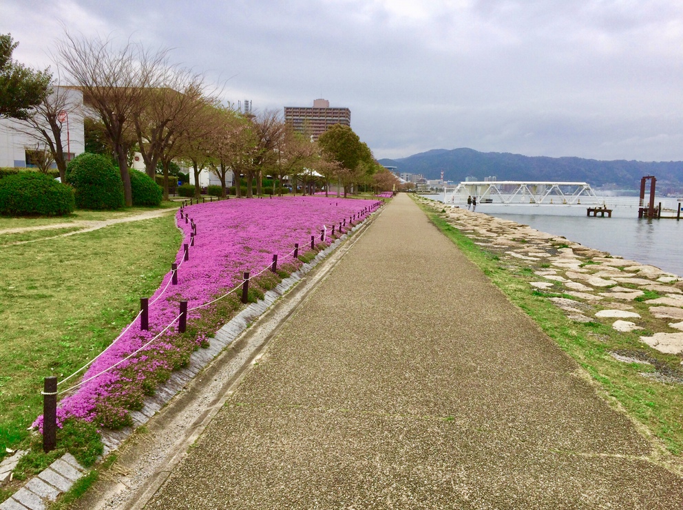 〓直前割１４日前：素泊り〓大津湖岸なぎさ公園で癒される…ゆとりの”１２時”チェックアウト！