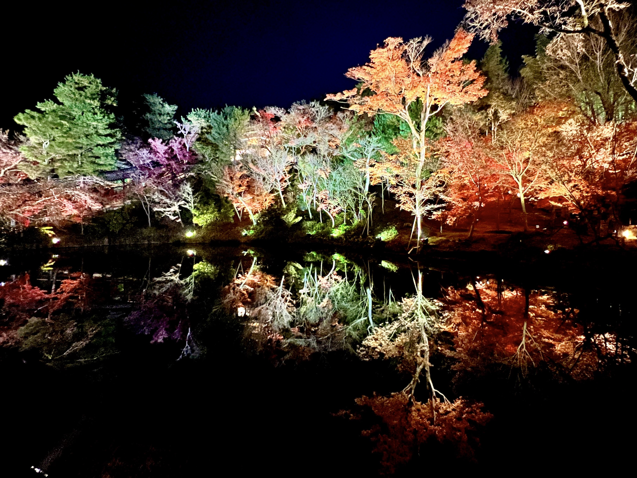 【苔生宿／Koke-Musu：inn】 - 写真 103