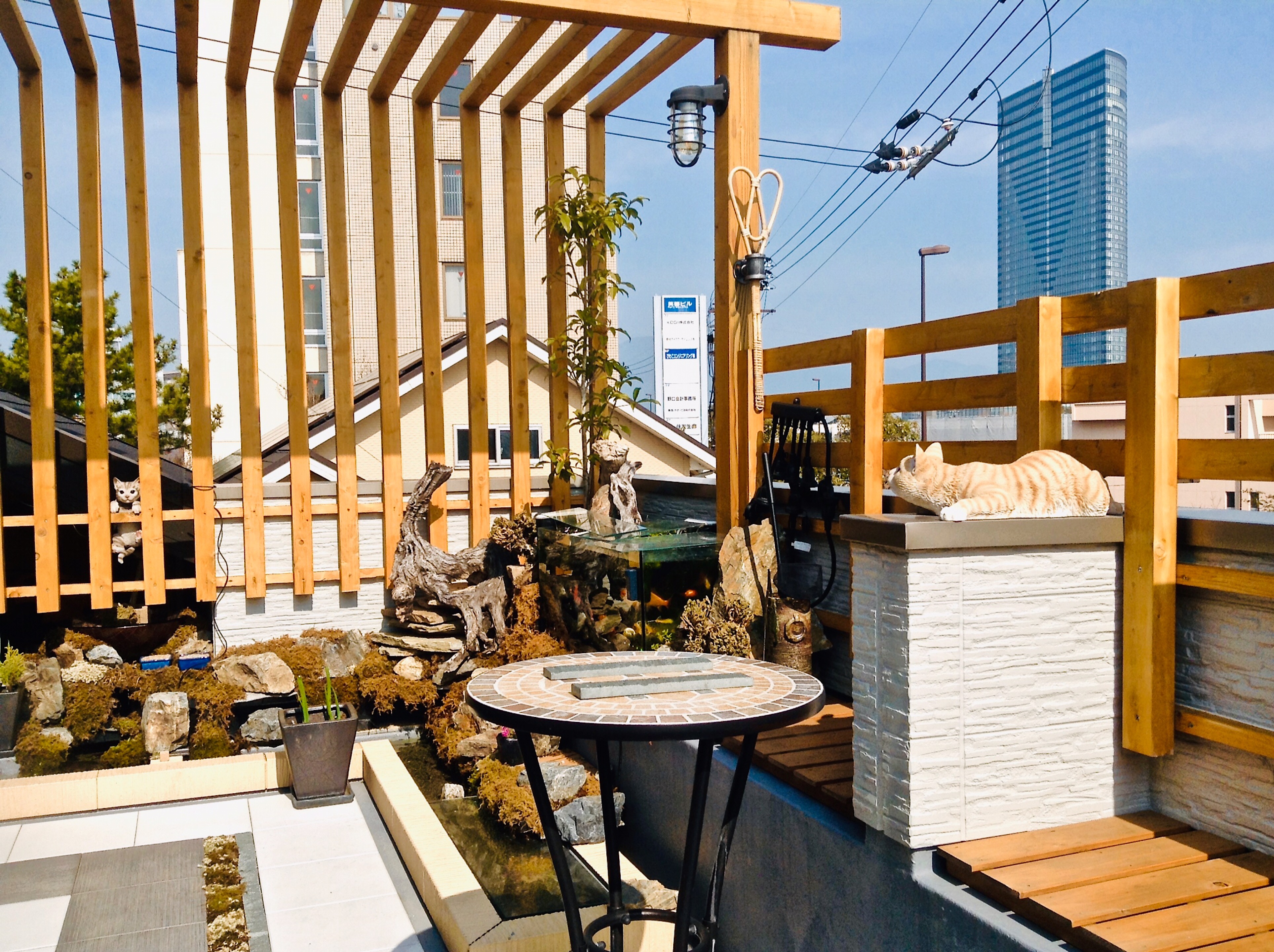 【苔生宿／Koke-Musu：inn】 - 写真 224