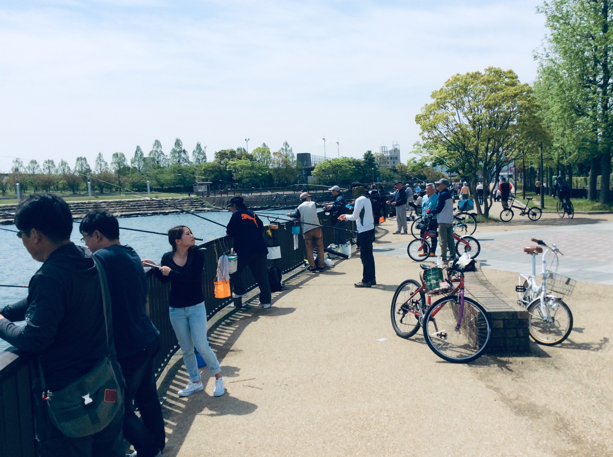 大津湖岸なぎさ公園由美浜＿小鮎釣り