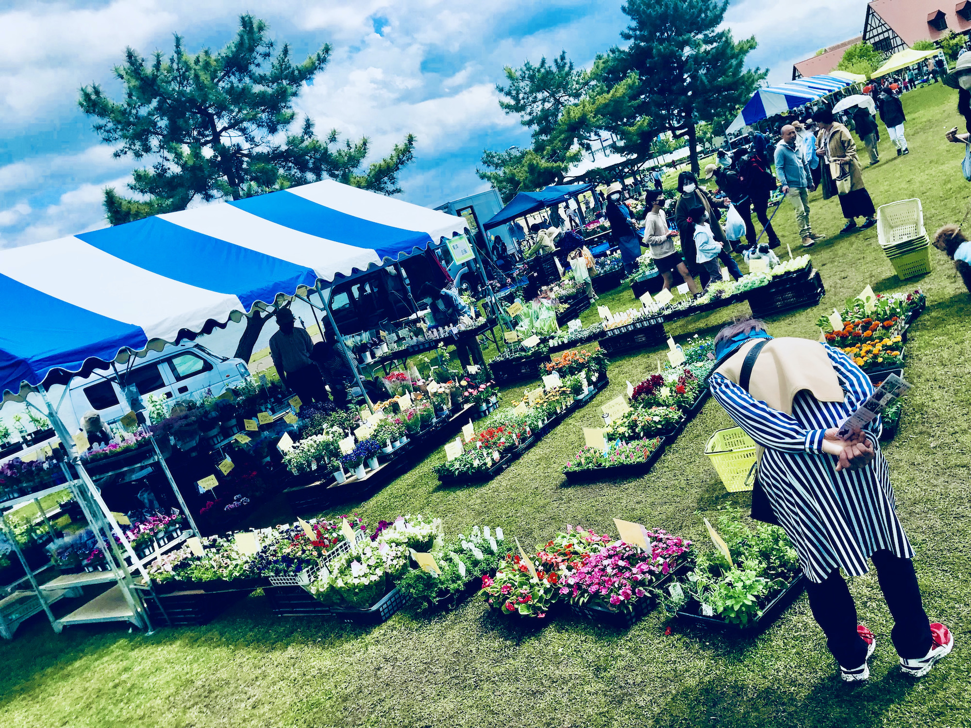 【苔生宿／Koke-Musu：inn】 - 写真 172