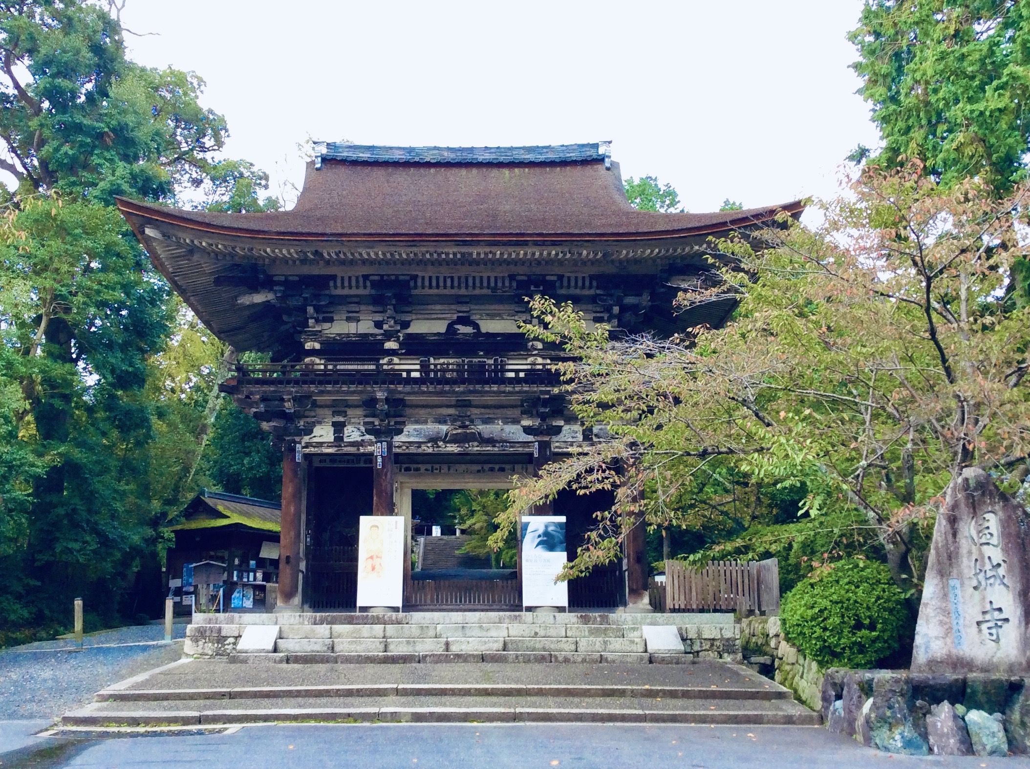 【苔生宿／Koke-Musu：inn】 - 写真 71