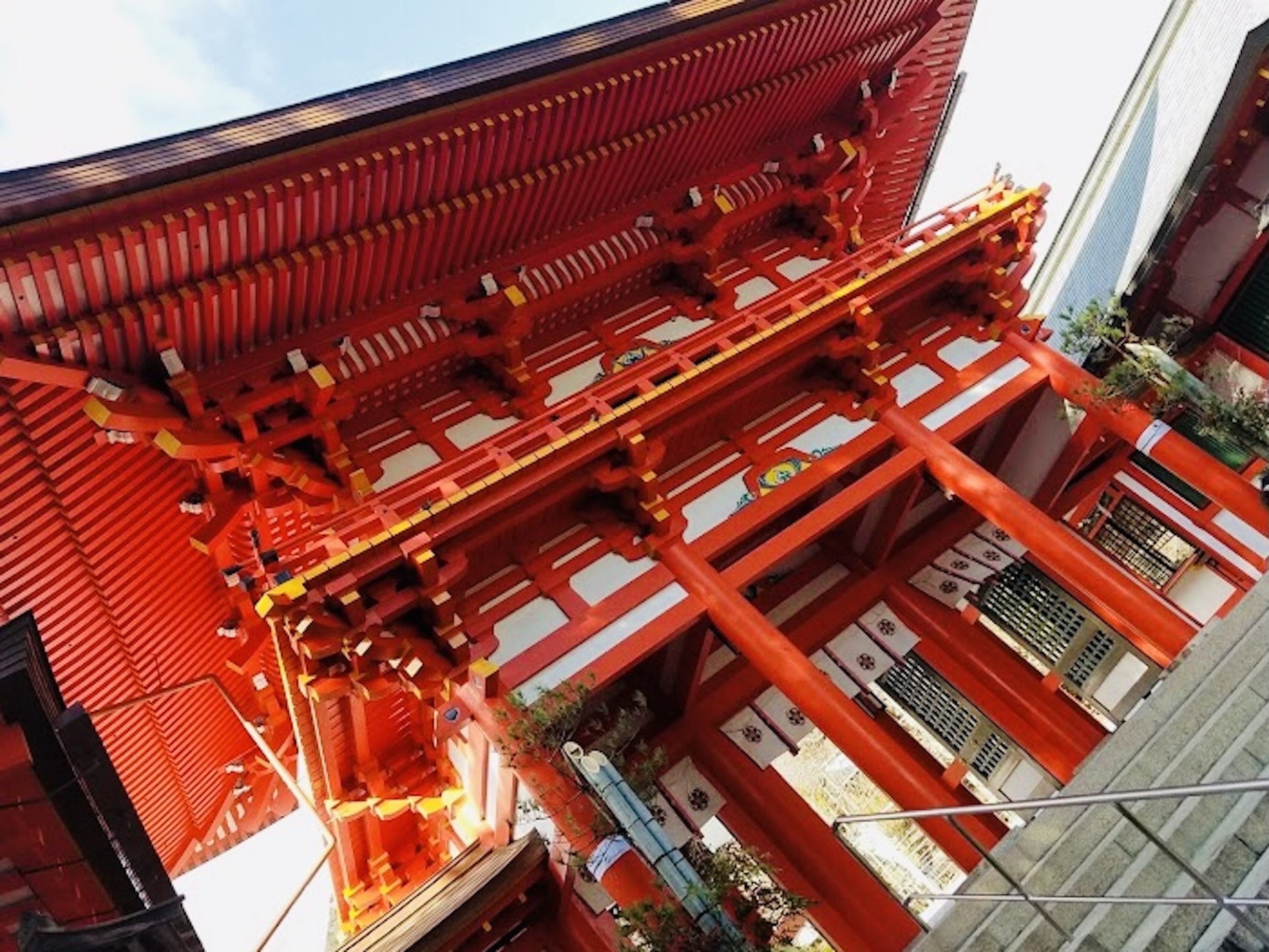 【苔生宿／Koke-Musu：inn】 - 写真 72