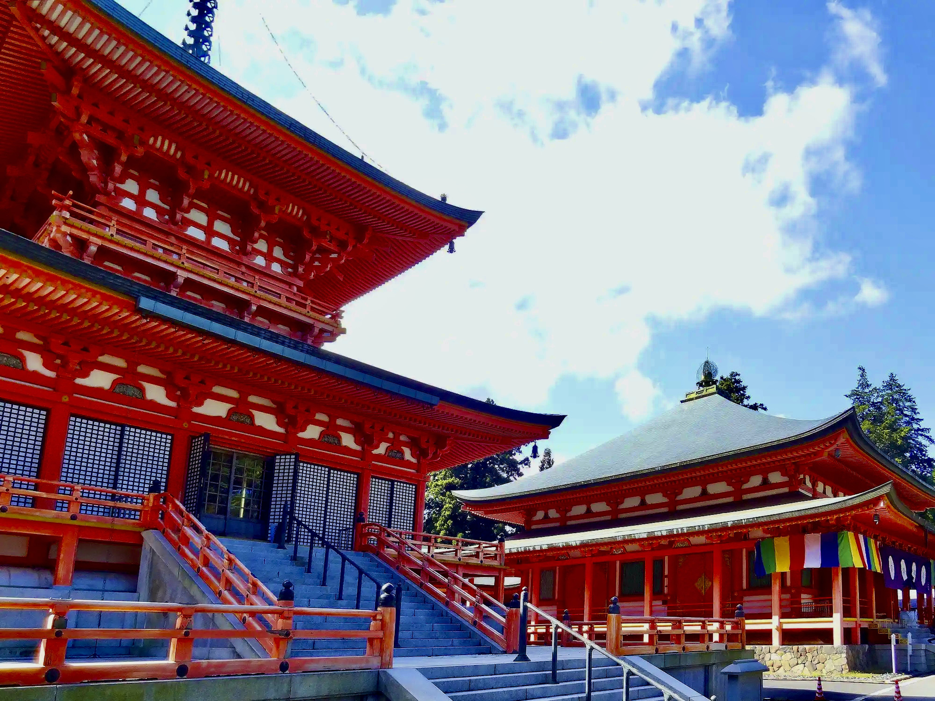 【苔生宿／Koke-Musu：inn】 - 写真 76