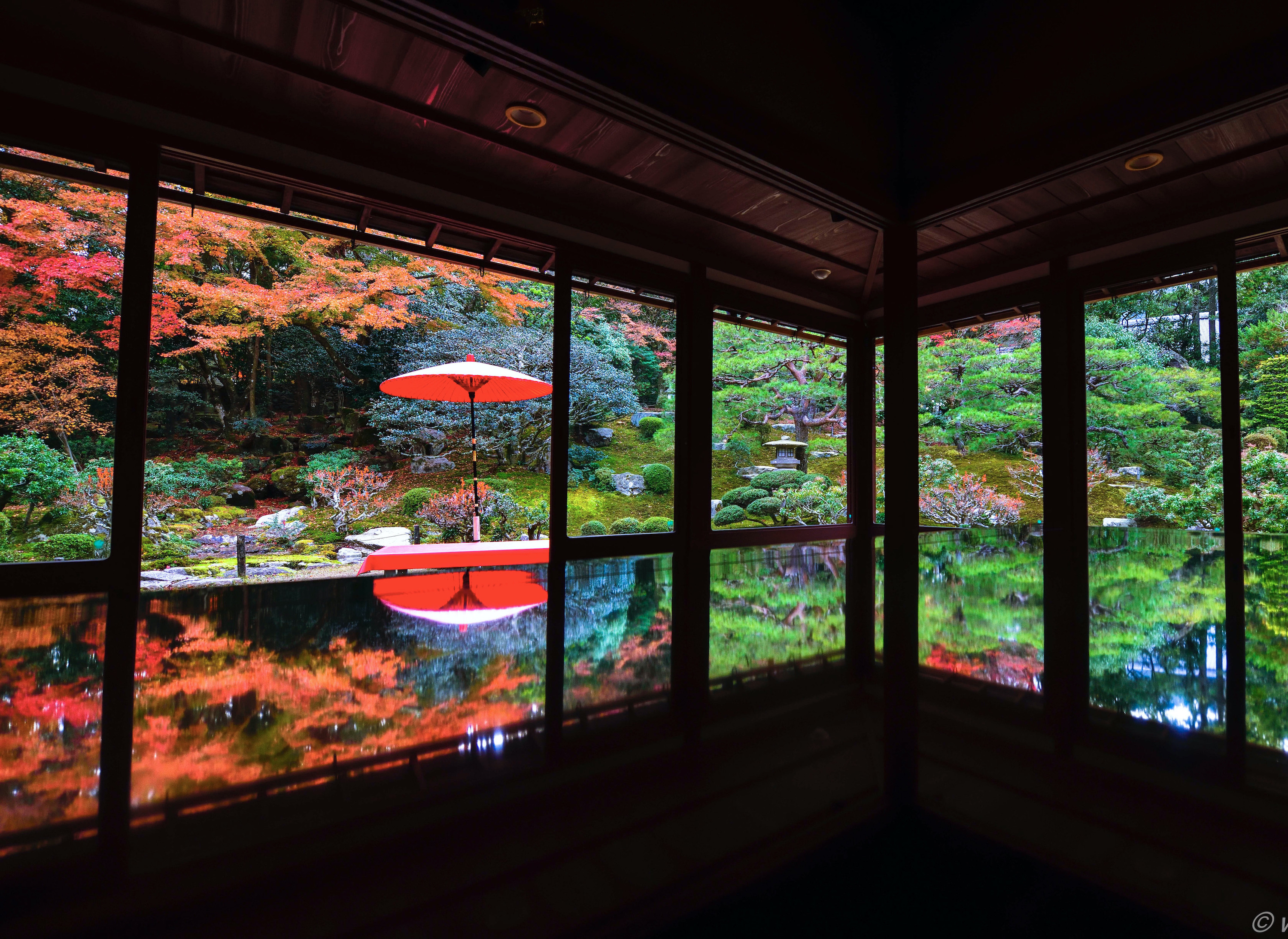 【苔生宿／Koke-Musu：inn】 - 写真 74