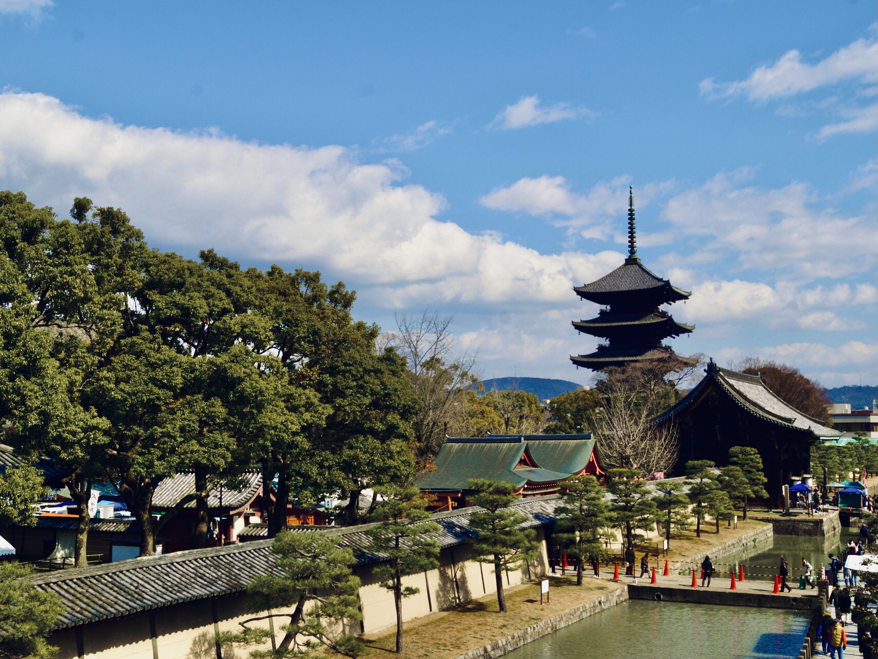 【苔生宿／Koke-Musu：inn】 - 写真 91
