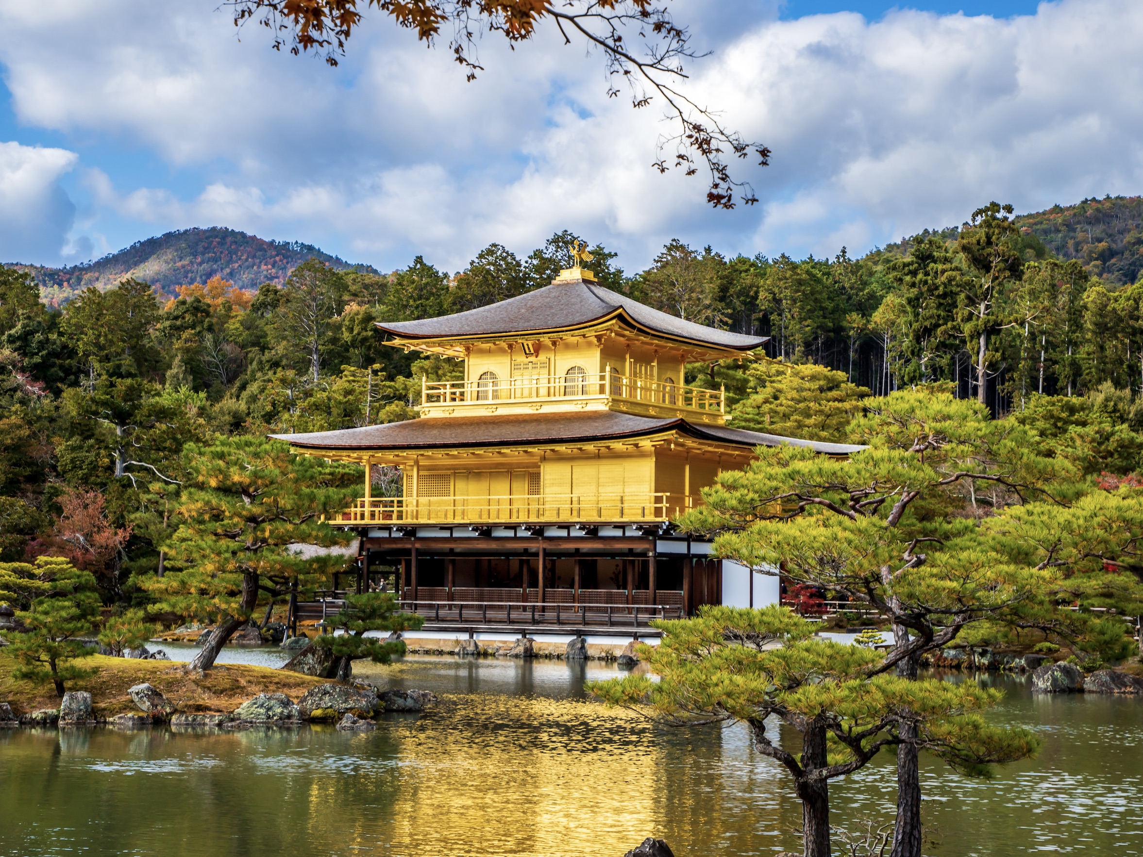 【苔生宿／Koke-Musu：inn】 - 写真 99