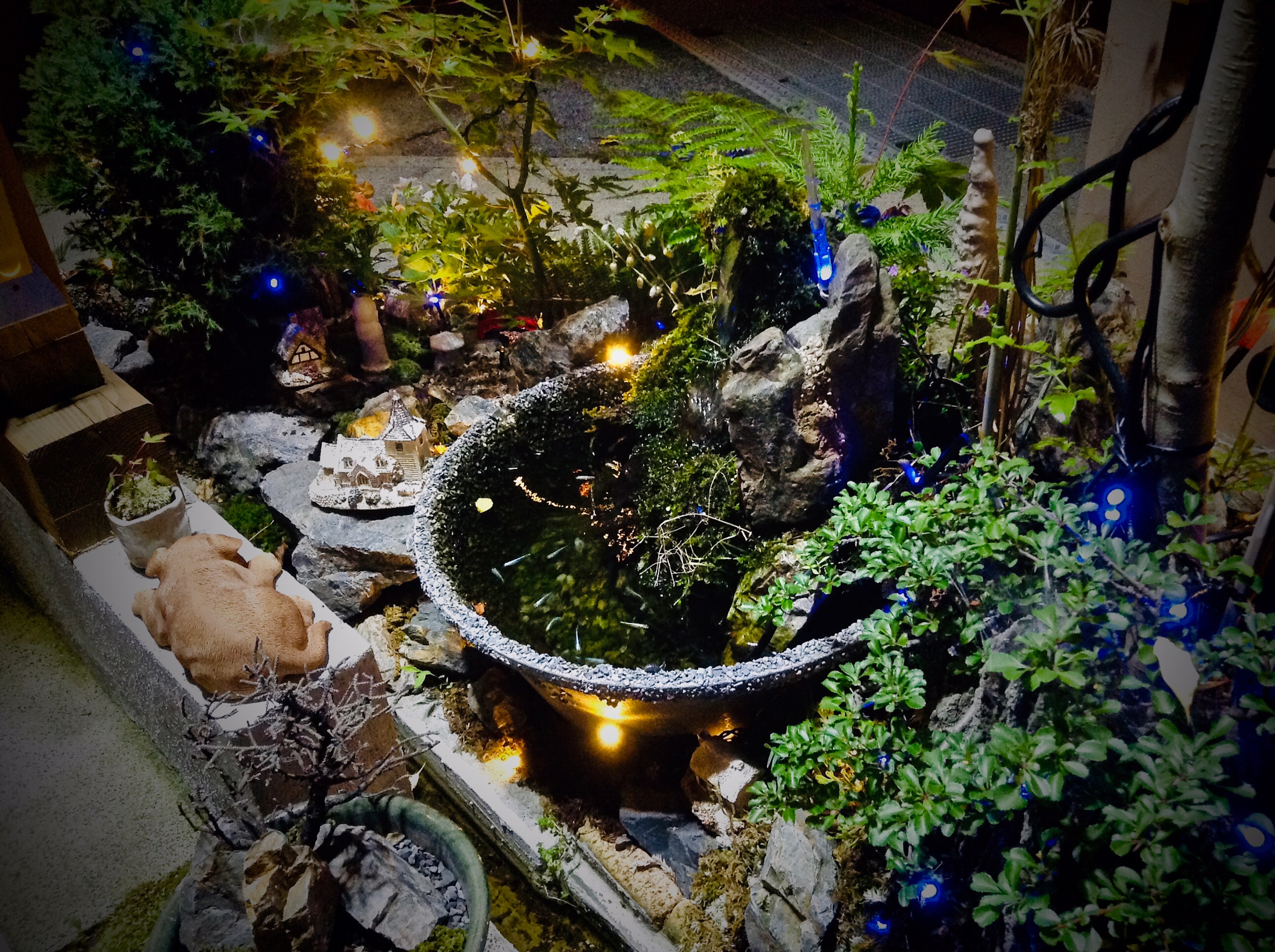 【苔生宿／Koke-Musu：inn】 - 写真 227