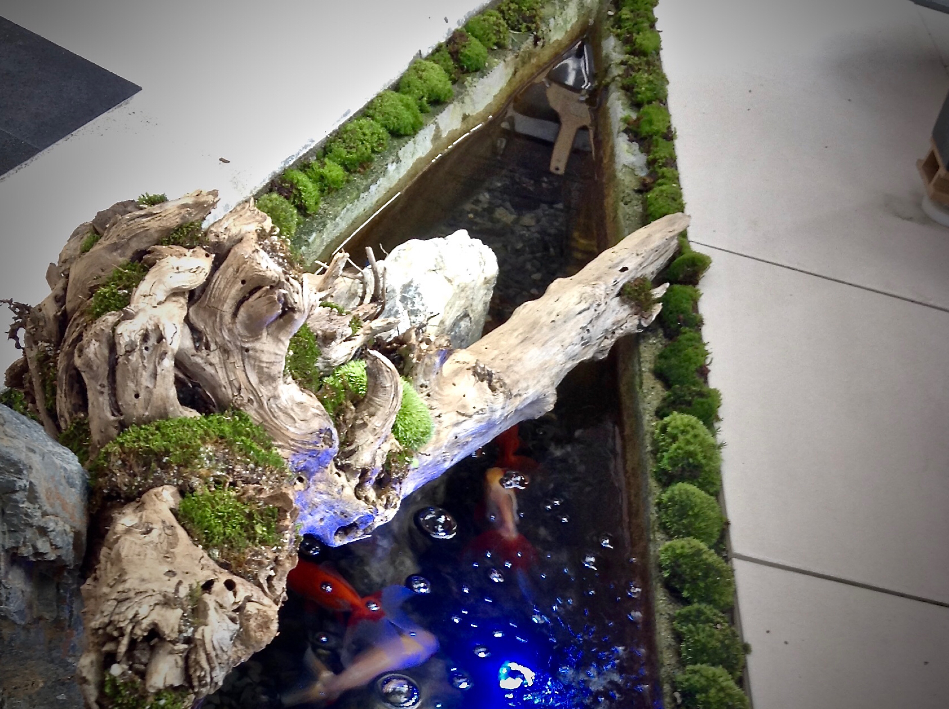 【苔生宿／Koke-Musu：inn】 - 写真 223