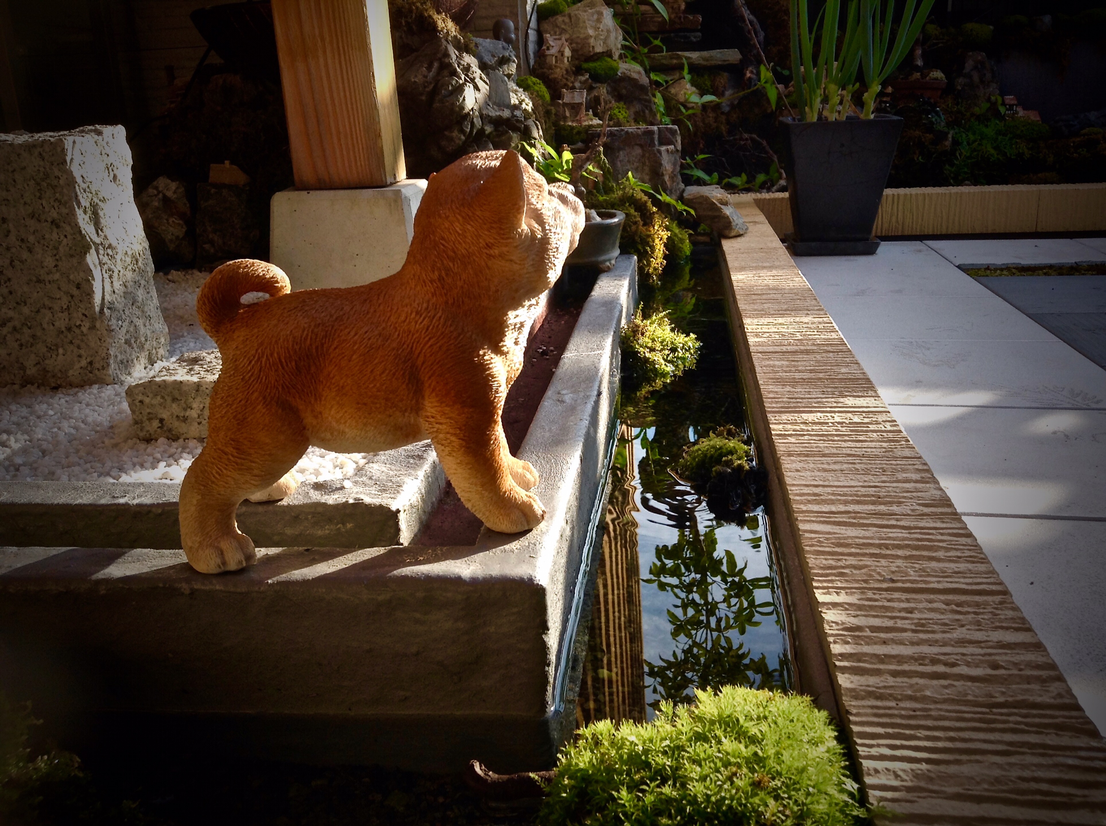 【苔生宿／Koke-Musu：inn】 - 写真 187