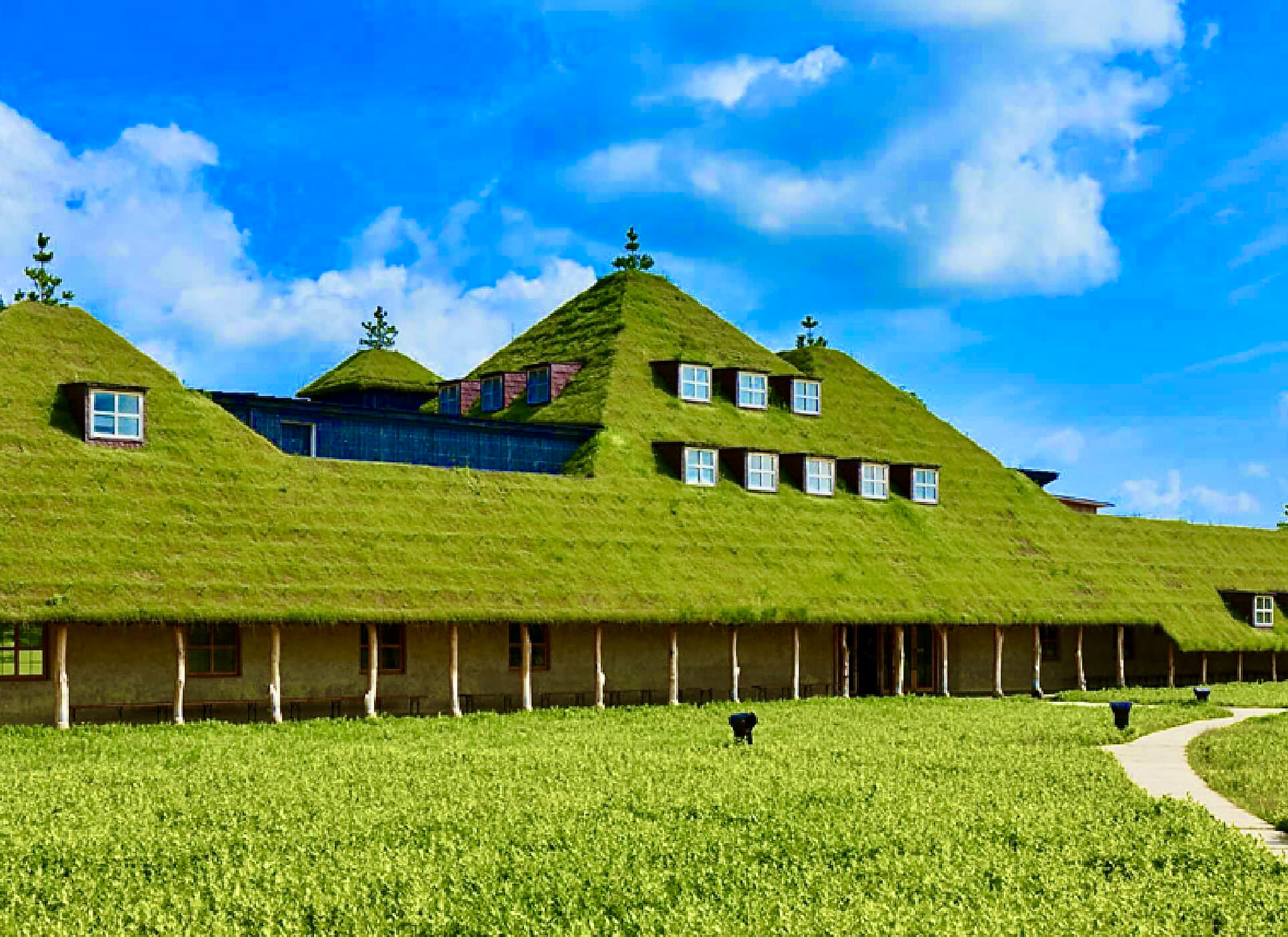 【苔生宿／Koke-Musu：inn】 - 写真 83