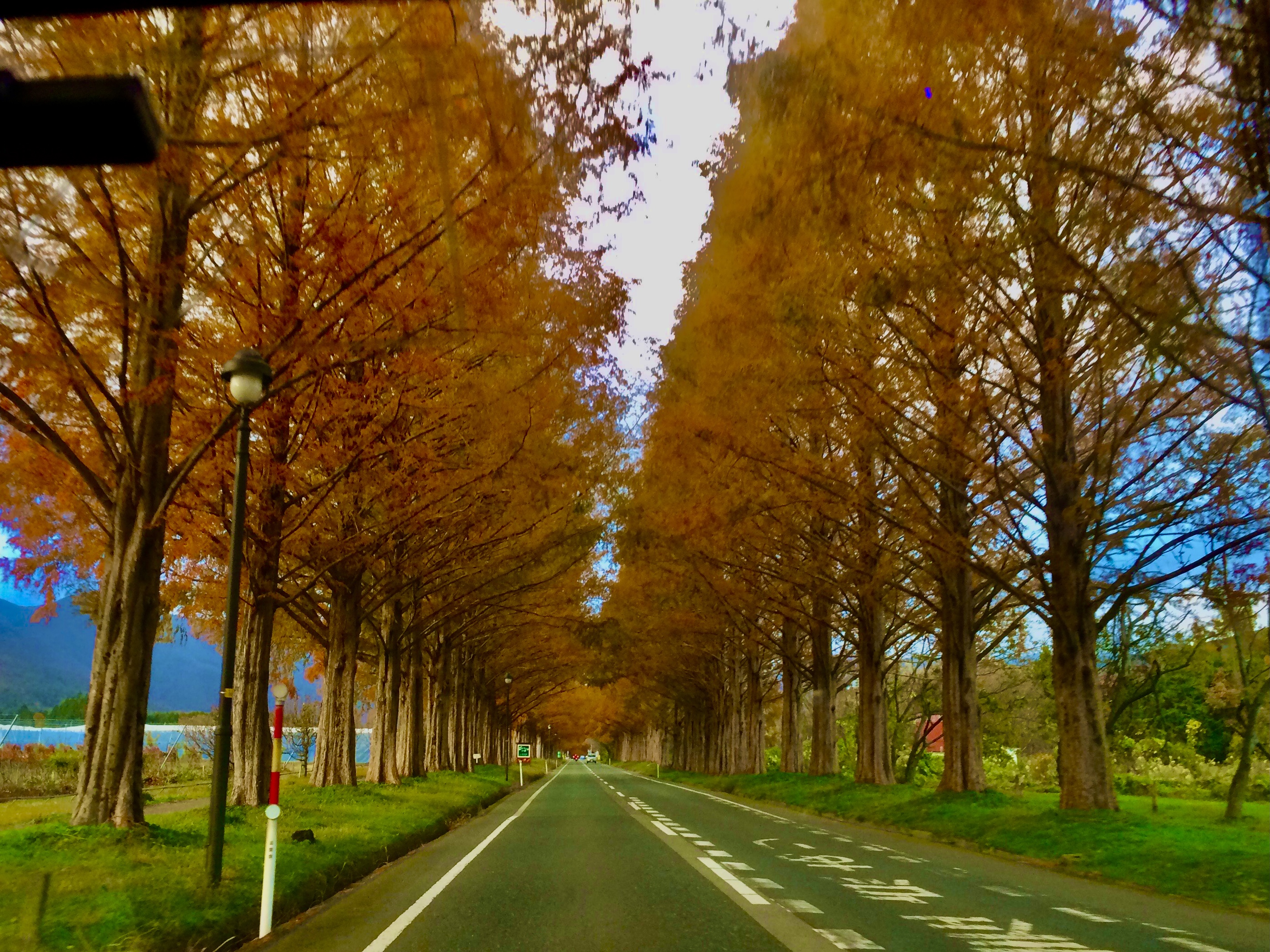【苔生宿／Koke-Musu：inn】 - 写真 79