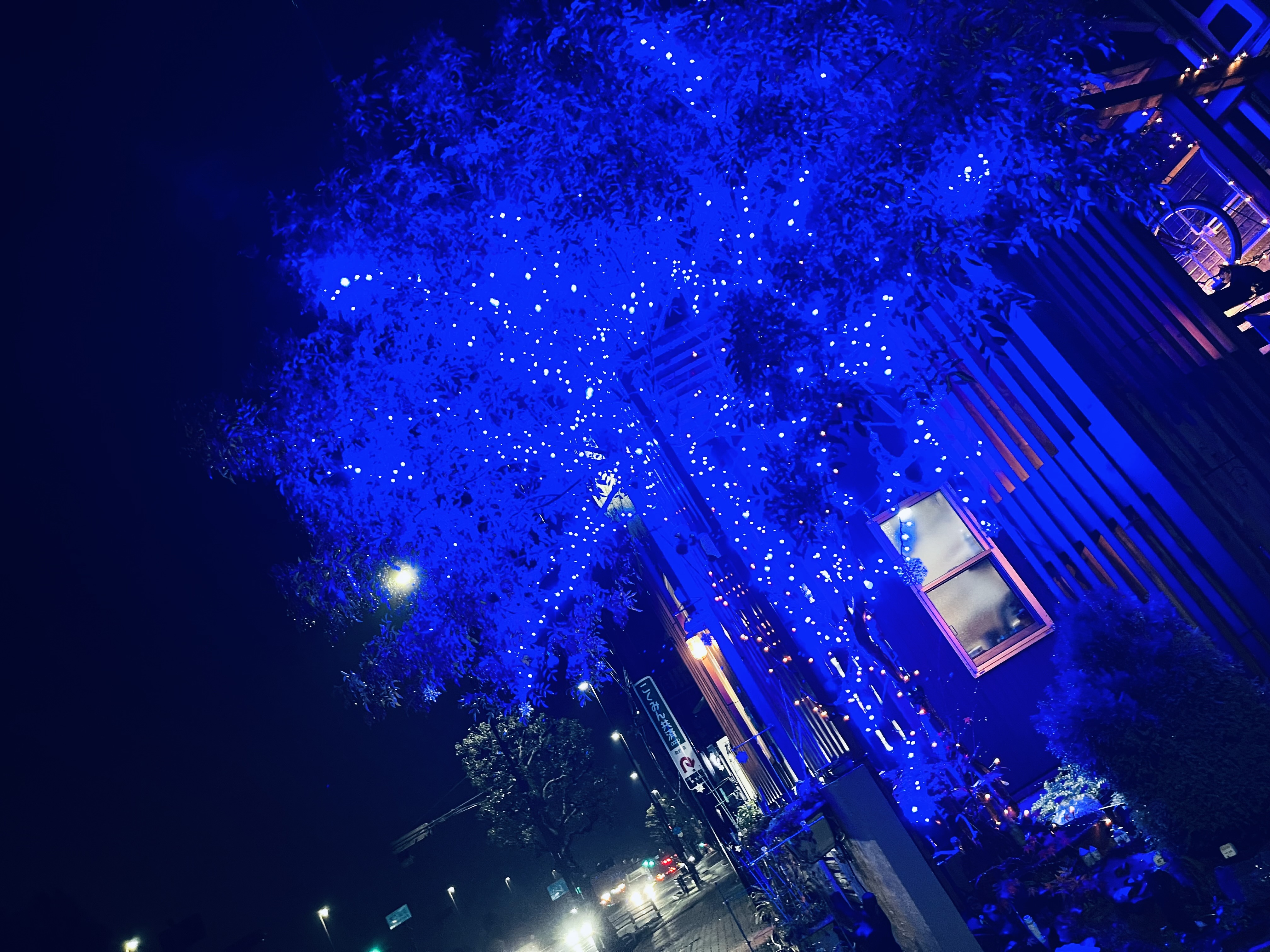 【苔生宿／Koke-Musu：inn】 - 写真 142