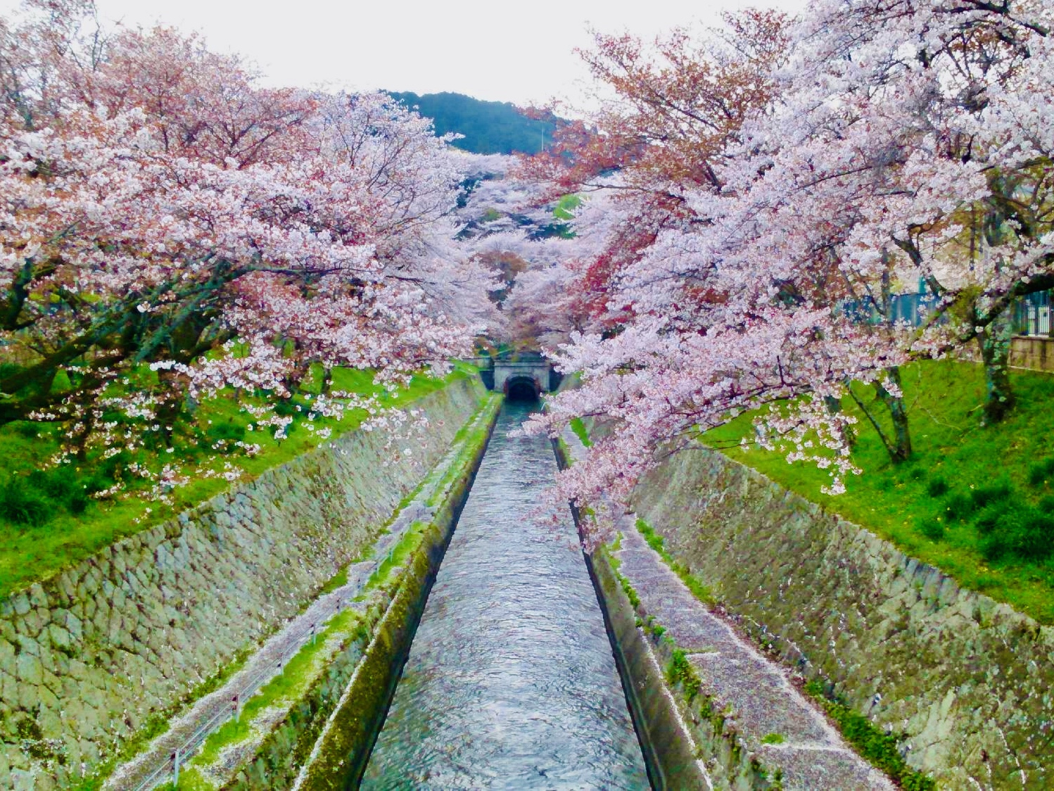 観光スポット＿琵琶湖疏水