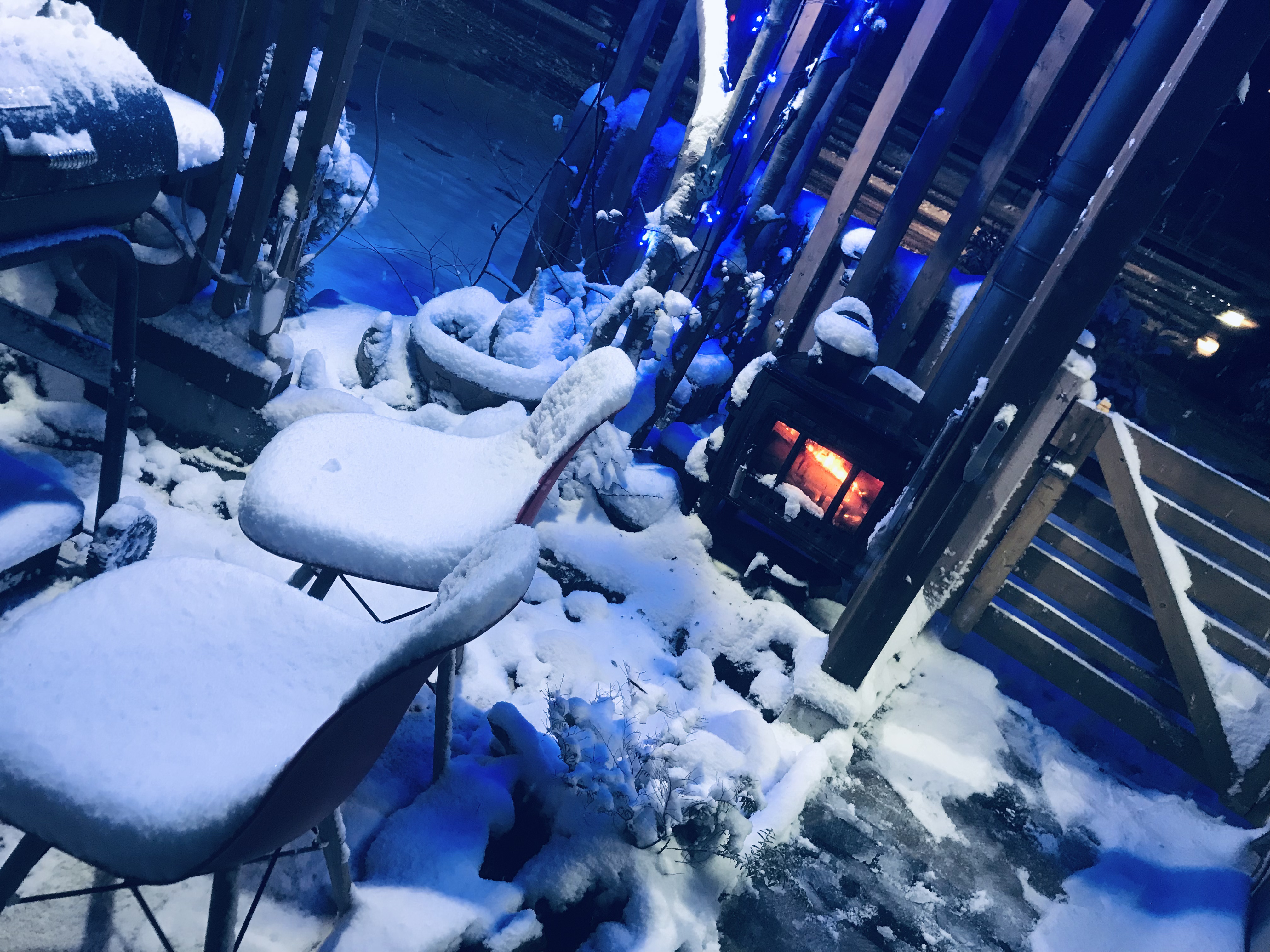 【苔生宿／Koke-Musu：inn】 - 写真 201