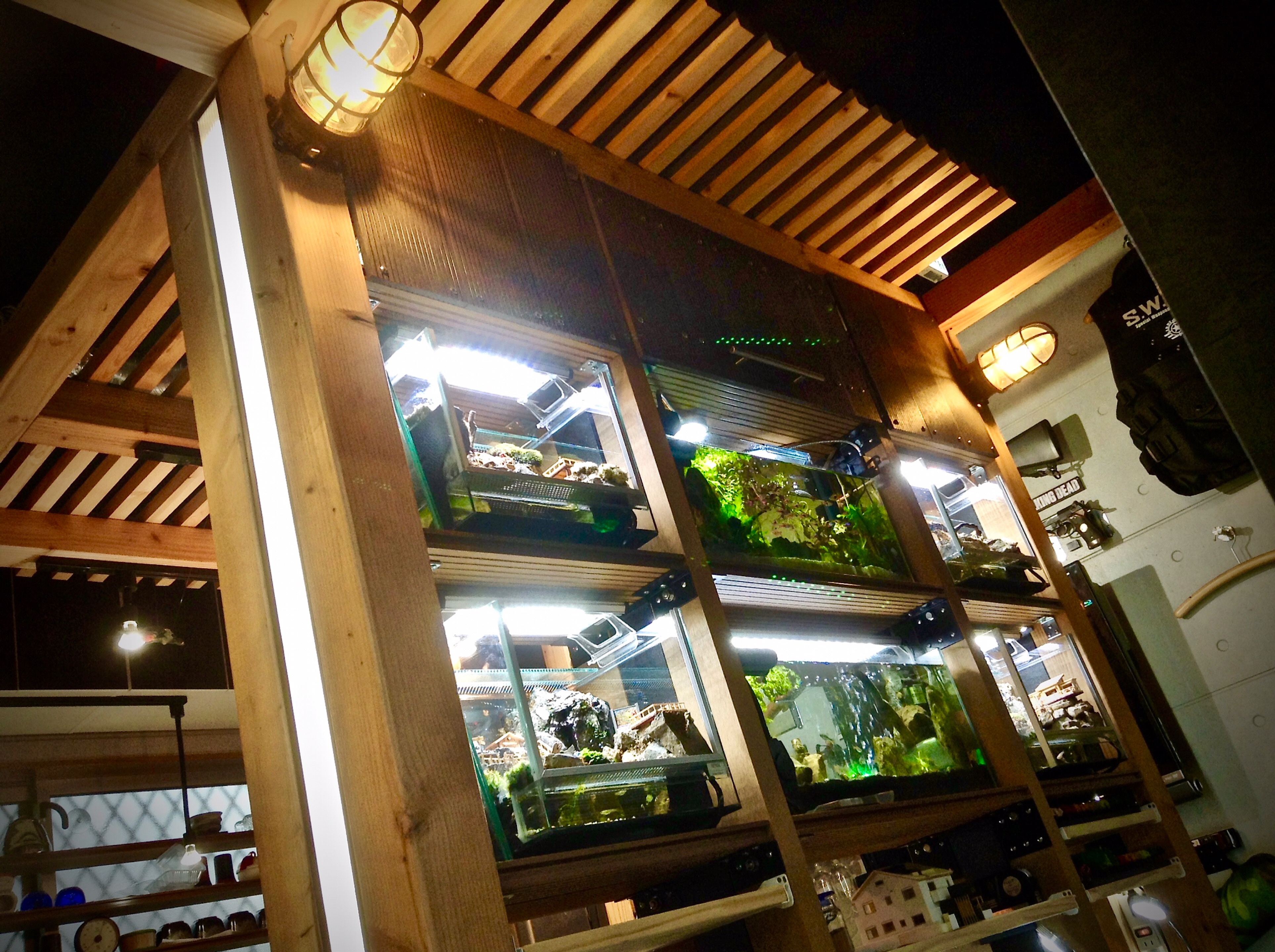 【苔生宿／Koke-Musu：inn】 - 写真 271
