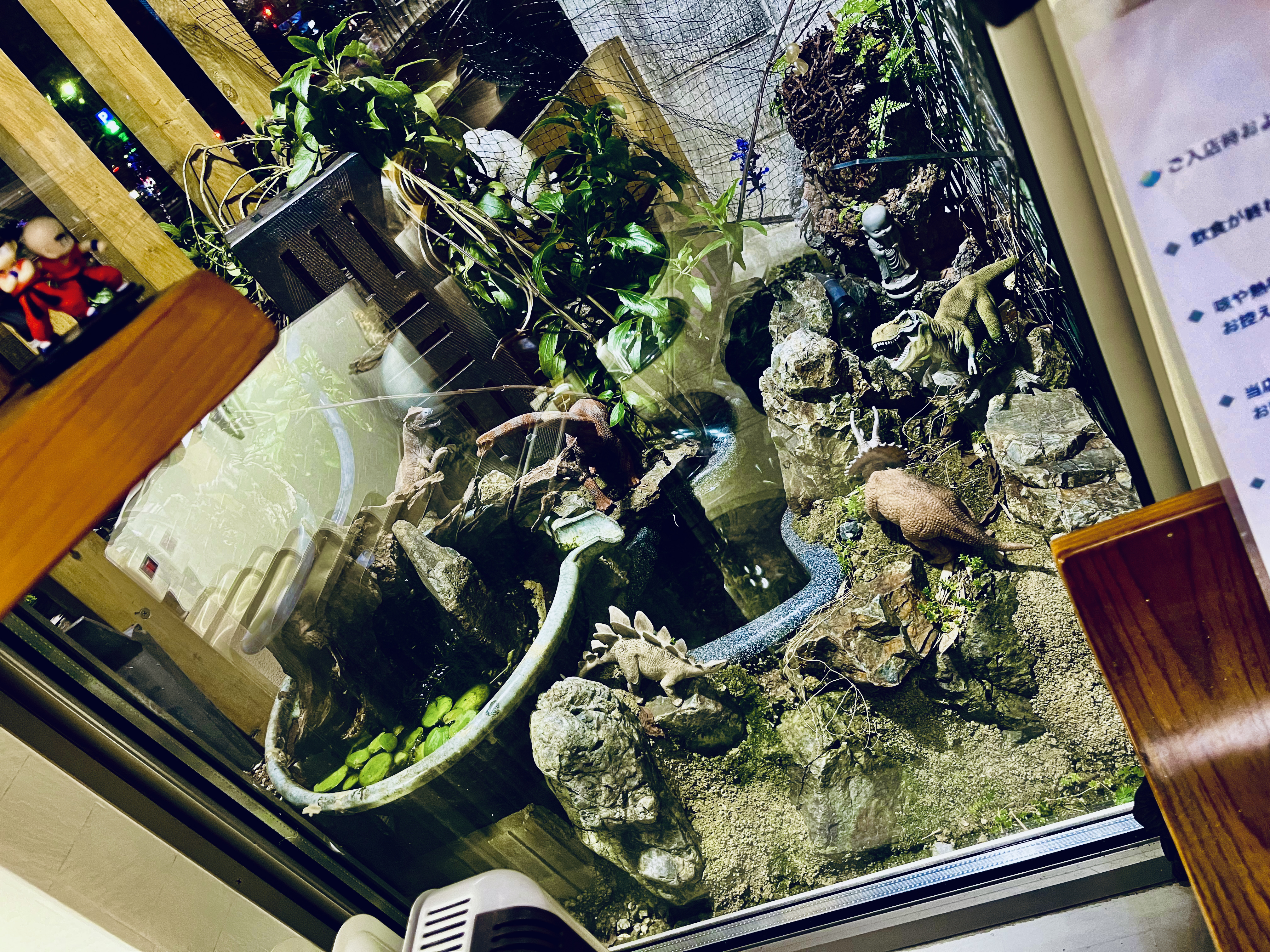 【苔生宿／Koke-Musu：inn】 - 写真 200