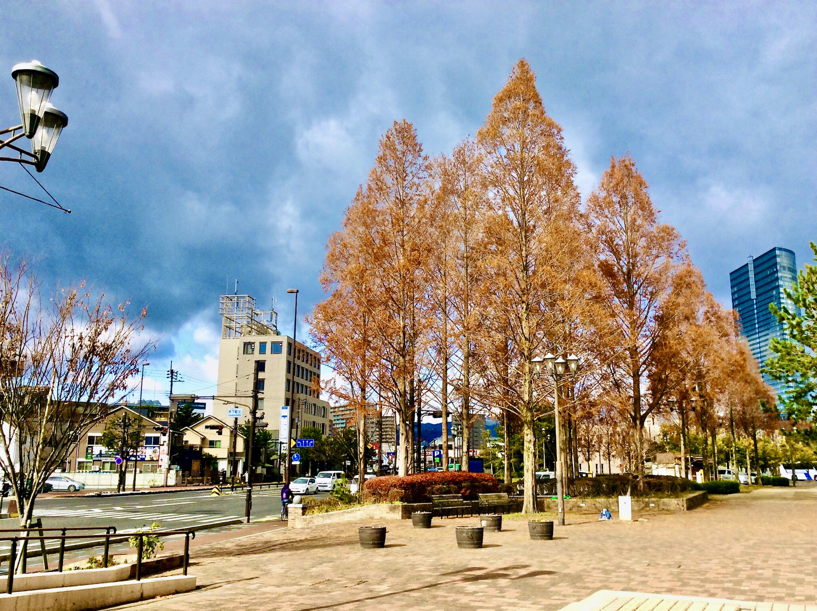 【苔生宿／Koke-Musu：inn】 - 写真 148