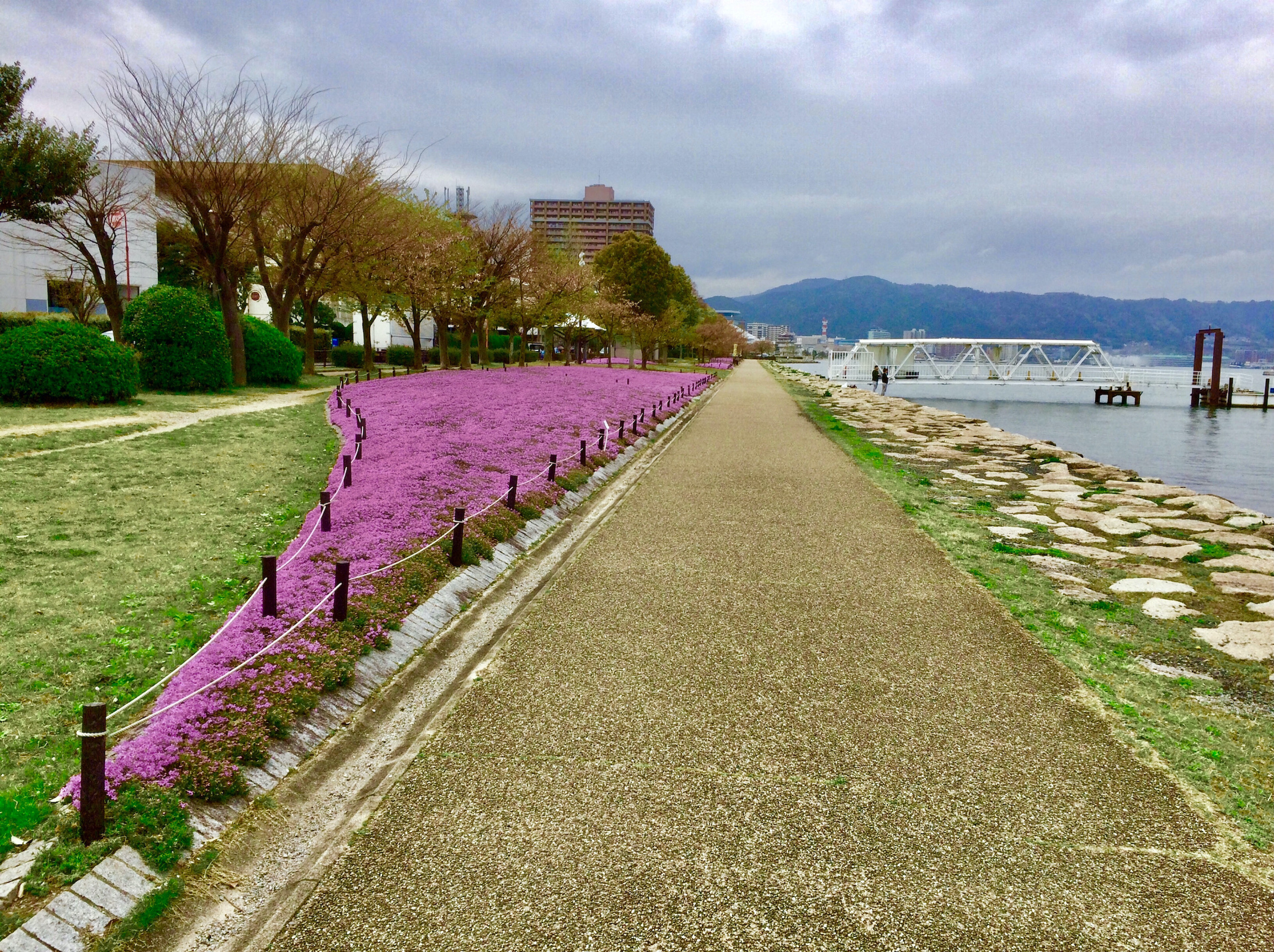 【苔生宿／Koke-Musu：inn】 - 写真 163