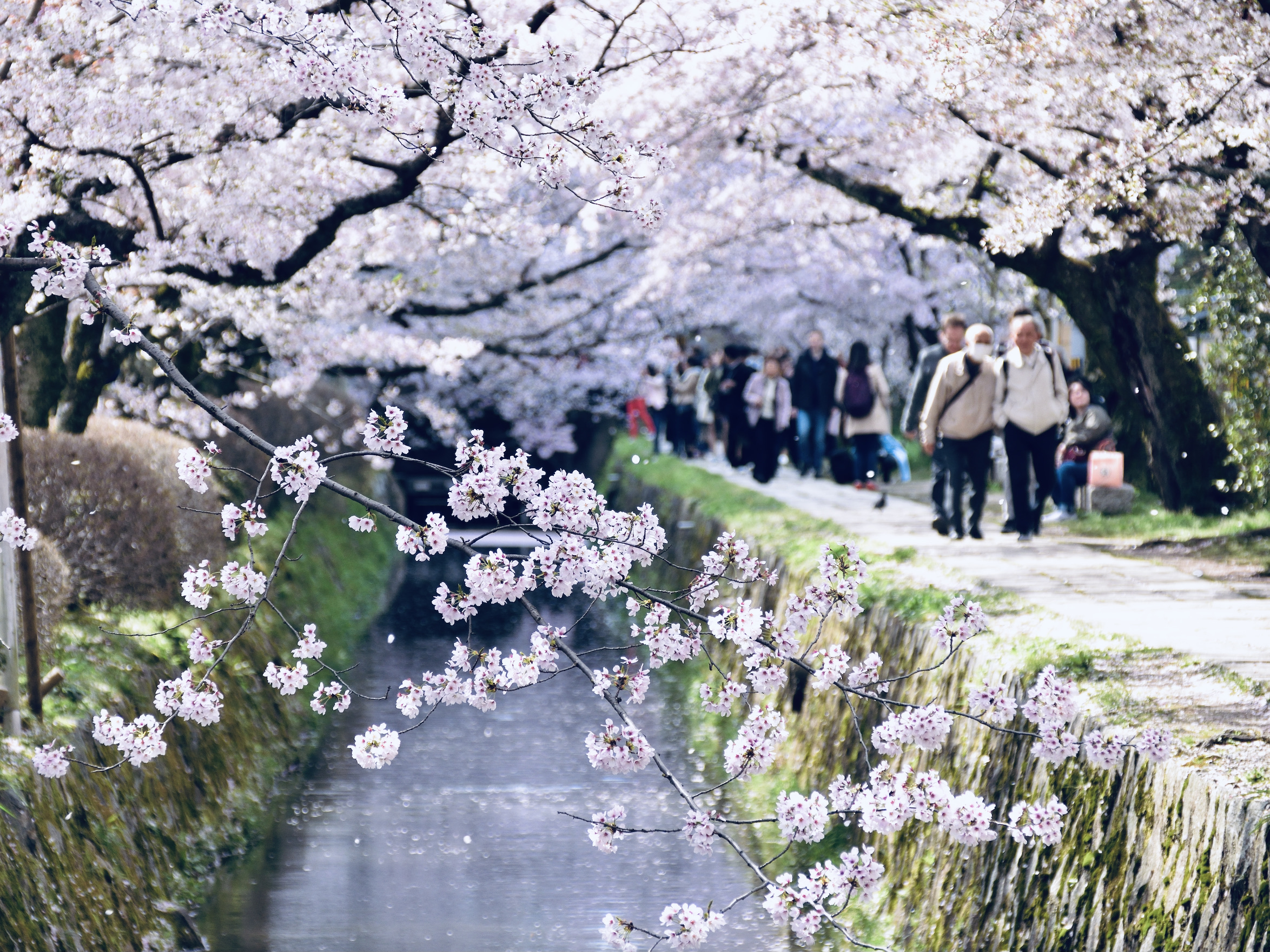 【苔生宿／Koke-Musu：inn】 - 写真 97