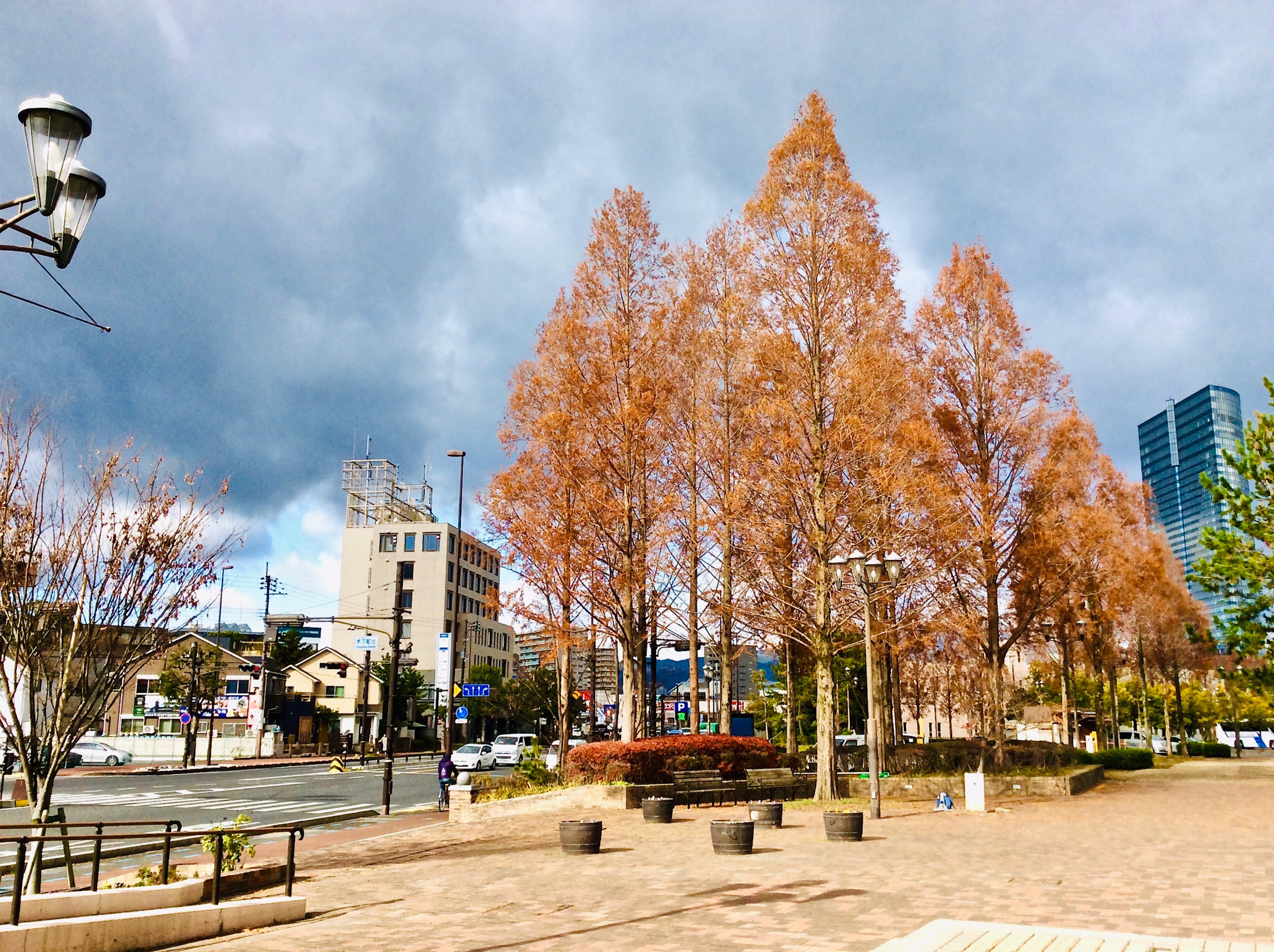 周辺環境＿大津湖岸なぎさ公園由美浜（湖岸道路）