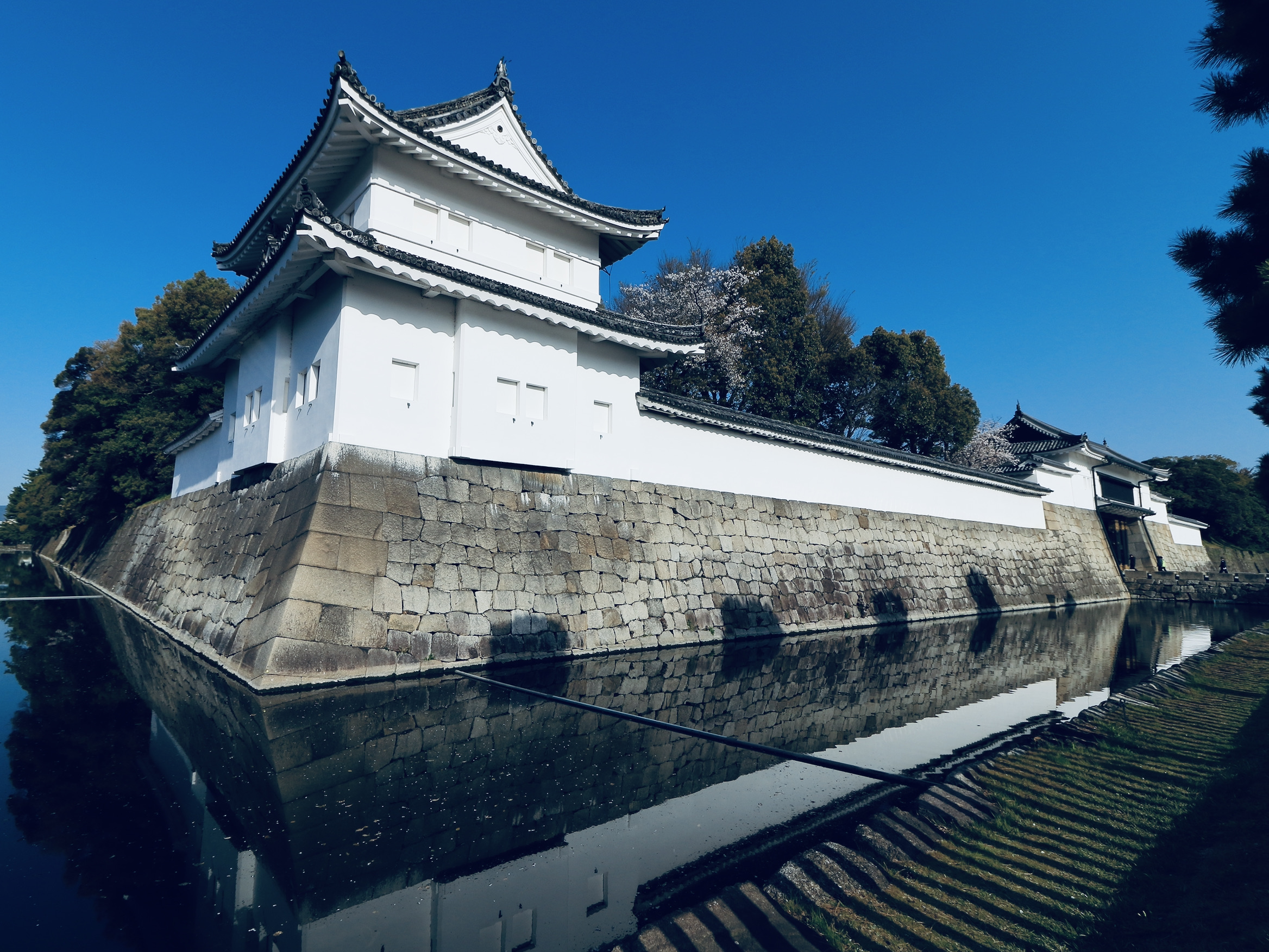 【苔生宿／Koke-Musu：inn】 - 写真 92