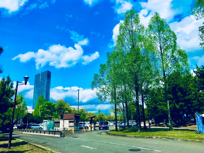 大津湖岸なぎさ公園由美浜