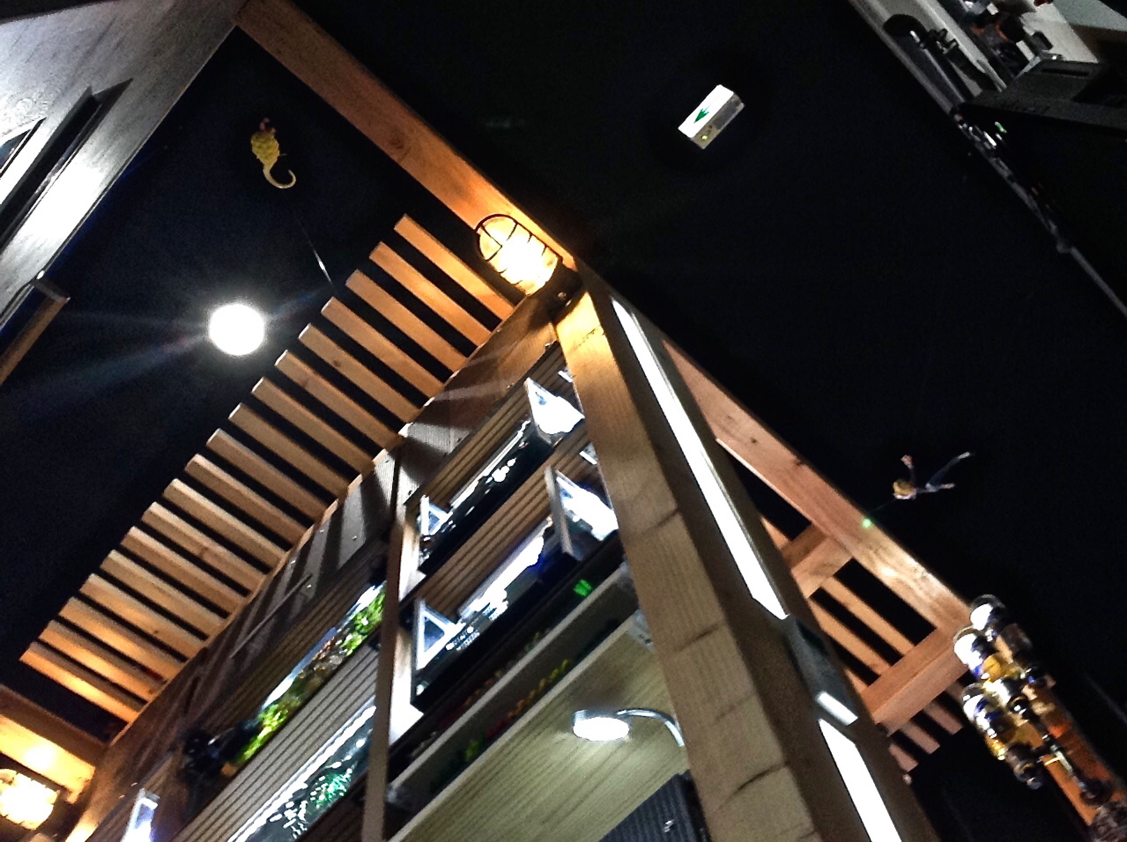【苔生宿／Koke-Musu：inn】 - 写真 179