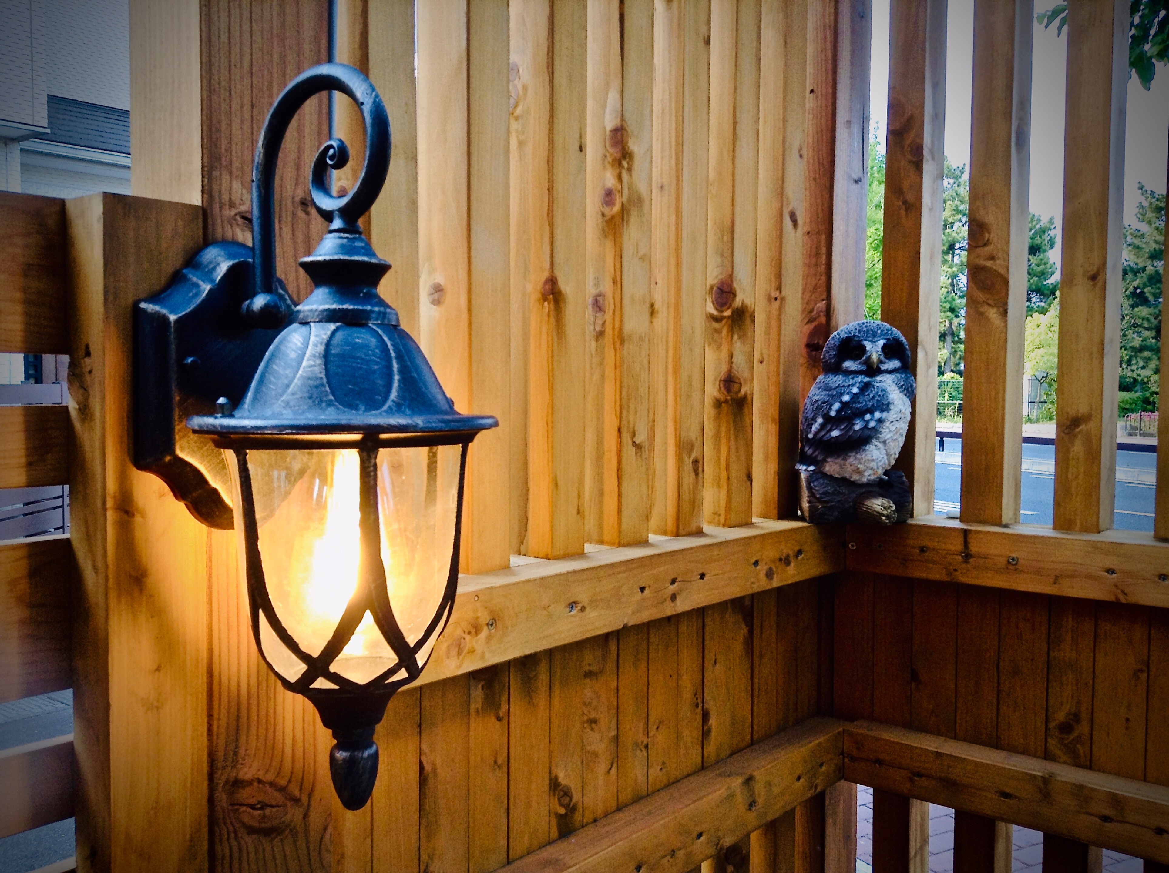 【苔生宿／Koke-Musu：inn】 - 写真 206
