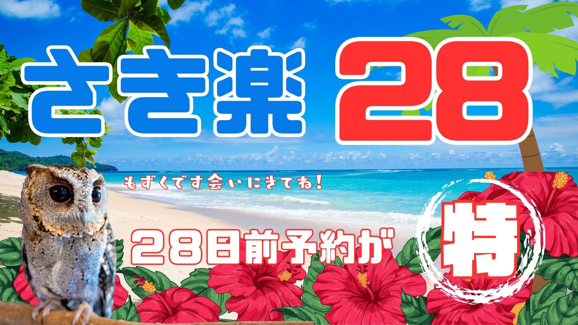 【さき楽28】石垣島のんびりステイ（素泊まり）※28日前までの早期予約限定
