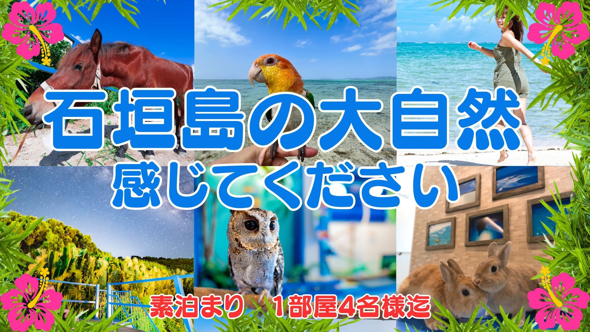 　【素泊まりプラン】石垣島の大自然を感じよう！夏(素泊まり)【1部屋4名まで】