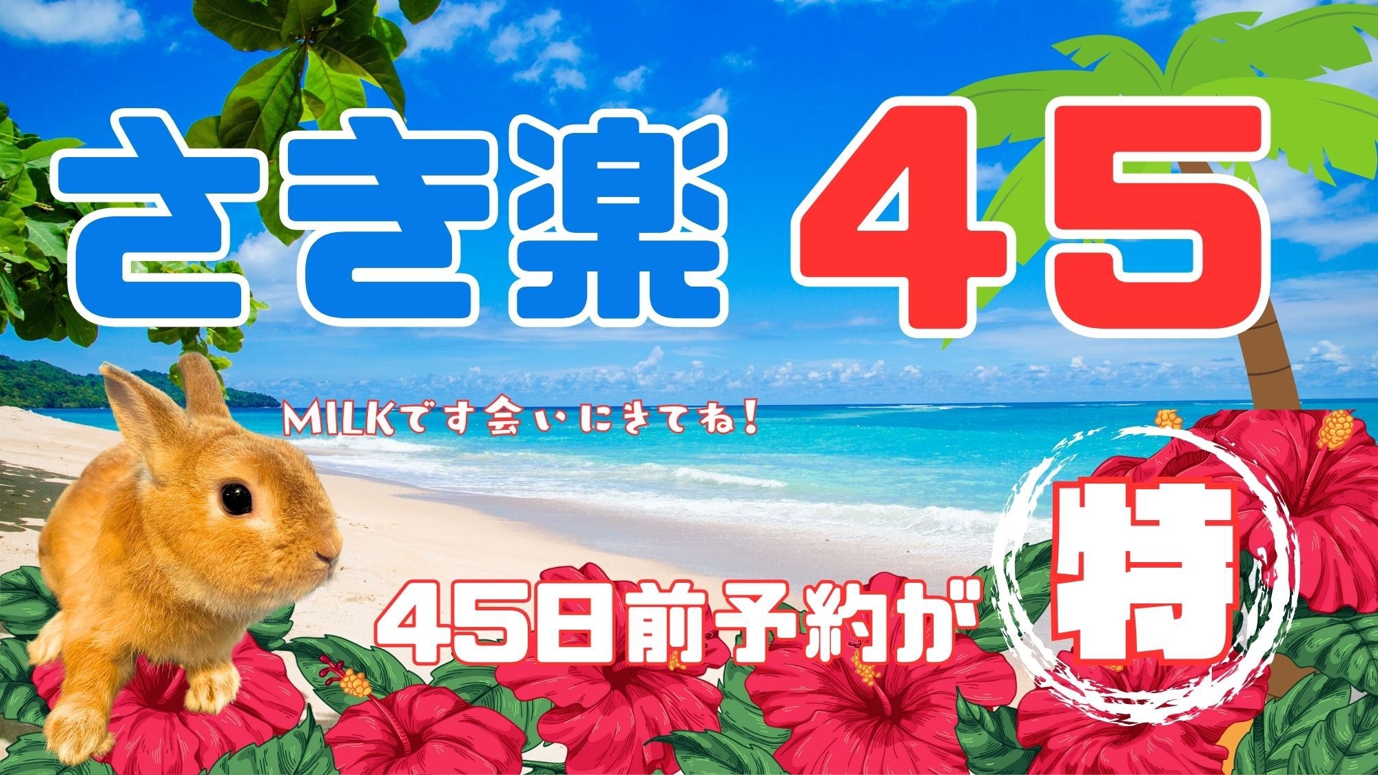 【さき楽45】石垣島のんびりステイ（素泊まり）※45日前までの早期予約限定