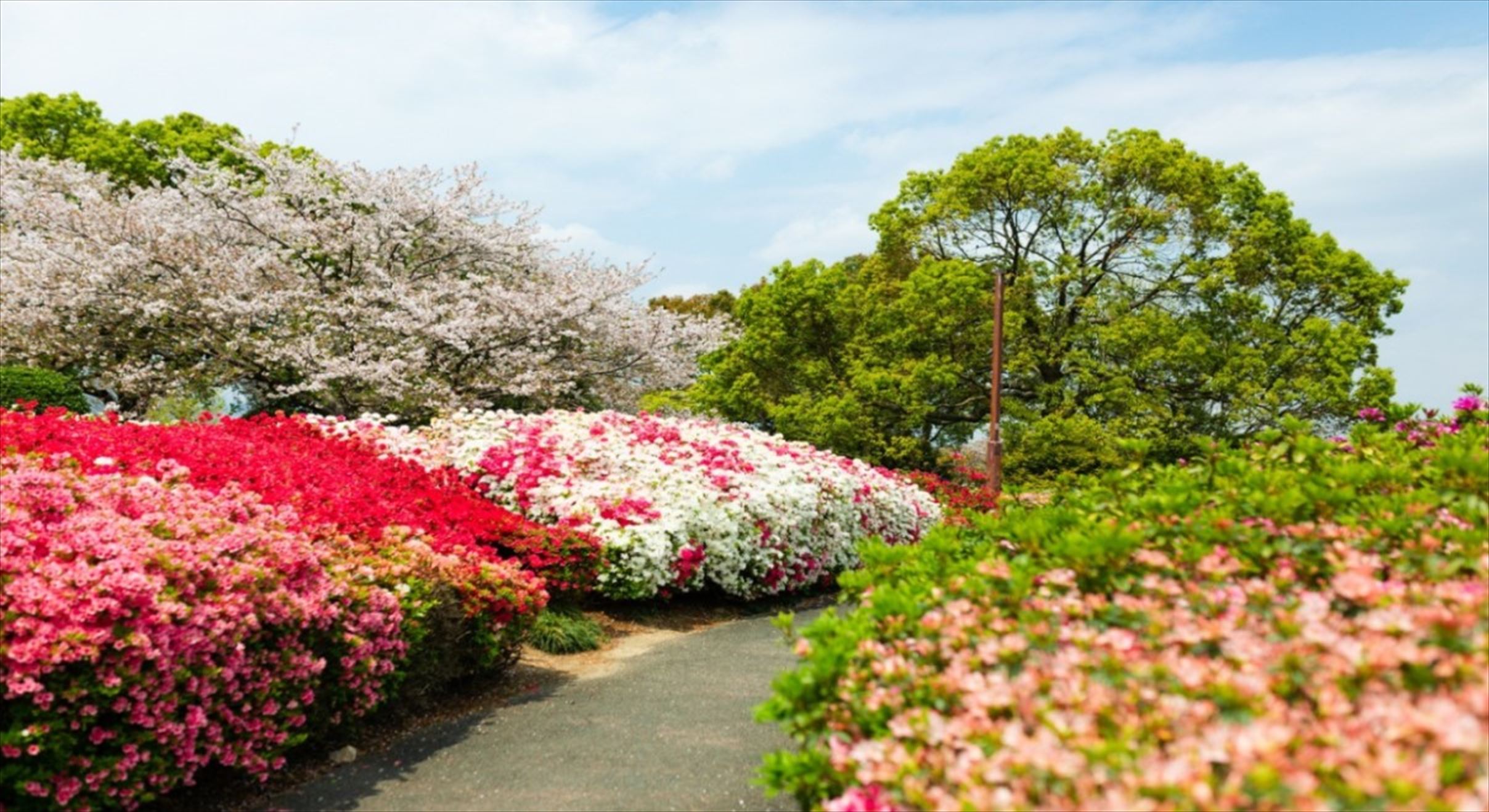 久留米百年公園　写真提供：KTIE