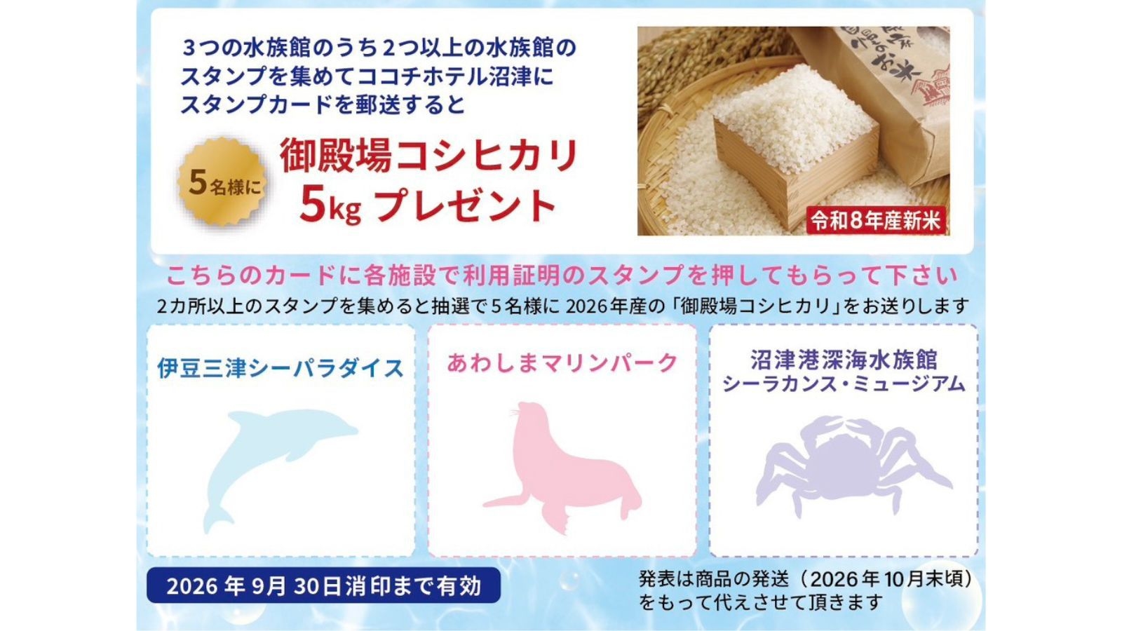 【夏限定】人気の3水族館共通割引券付！伊豆観光応援ファミリープラン〔朝食付＆ドリンクバー付〕