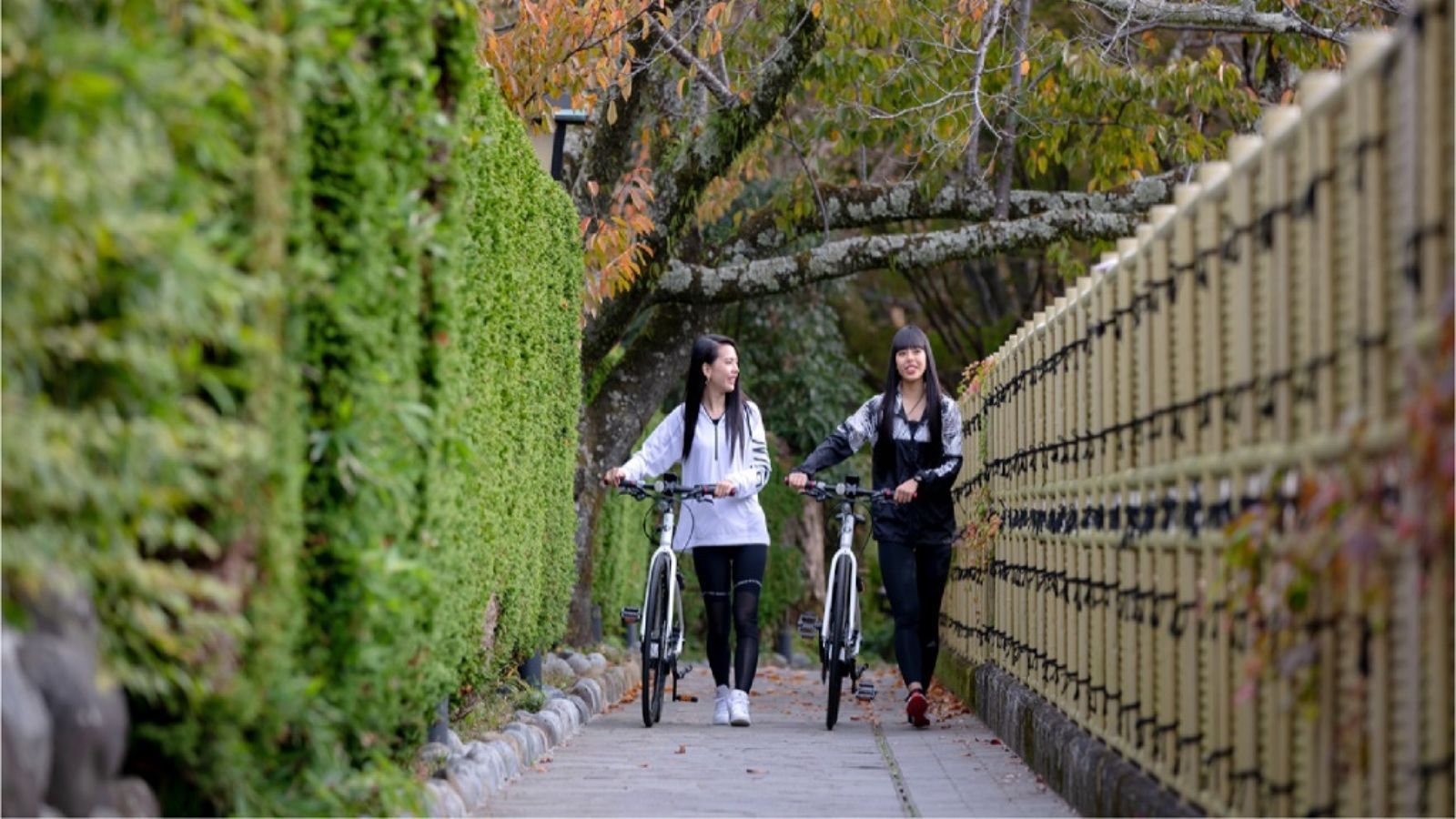 【レンタサイクルプラン】eBike（電動自転車）で巡る伊豆の旅♪〔朝食付〕