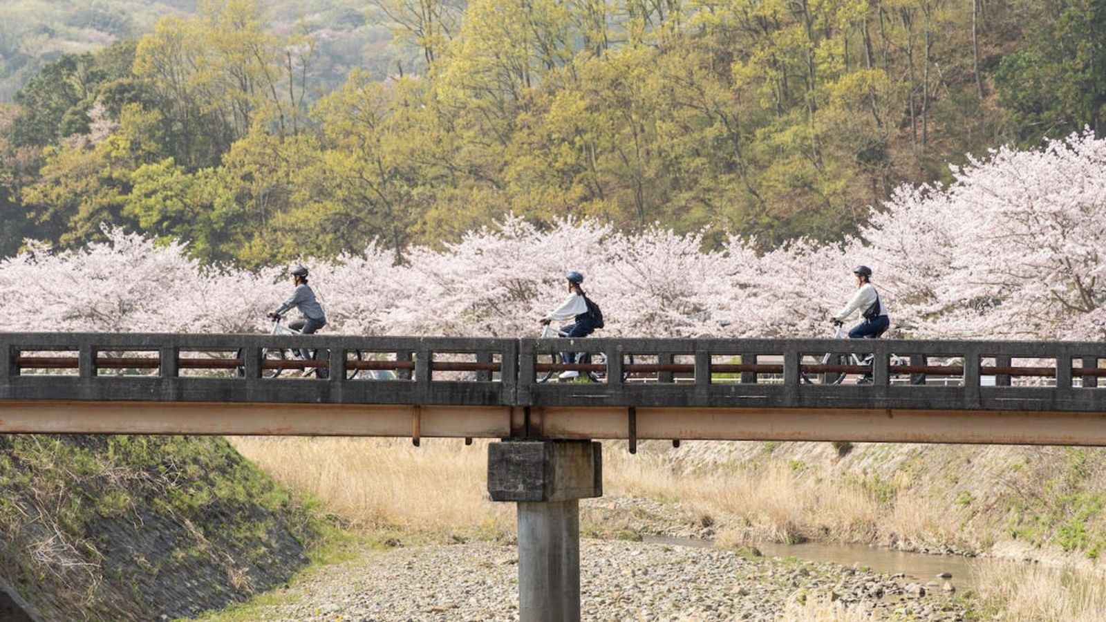 サイクリング