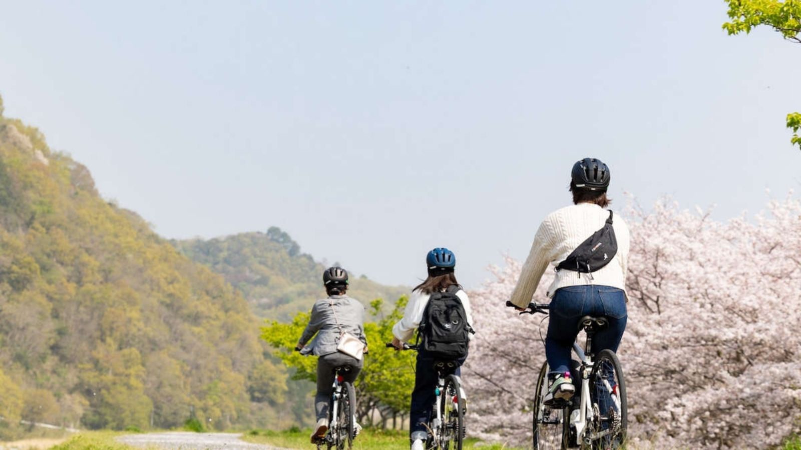 狩野川をサイクリング