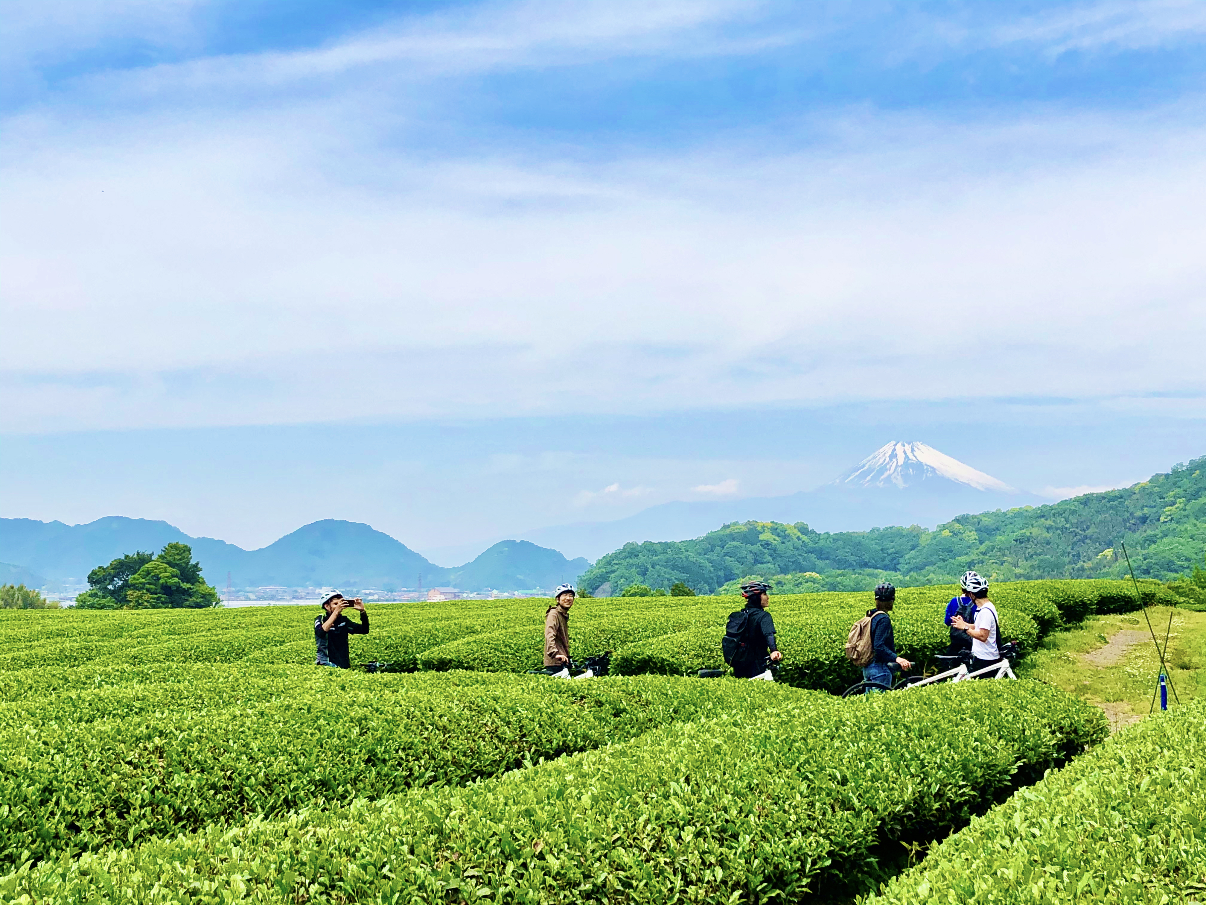 里山散走