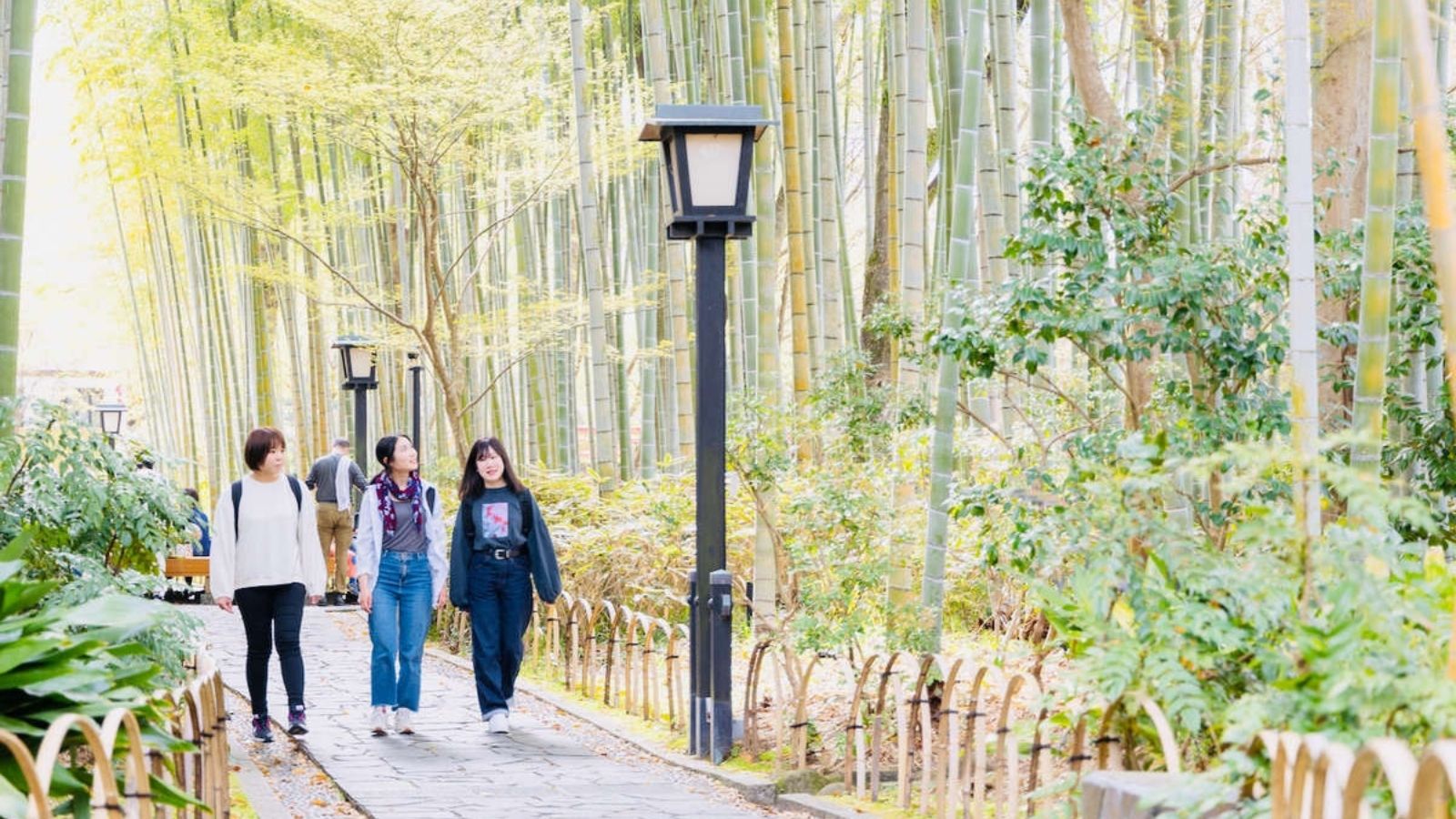 修善寺「竹林の小径」